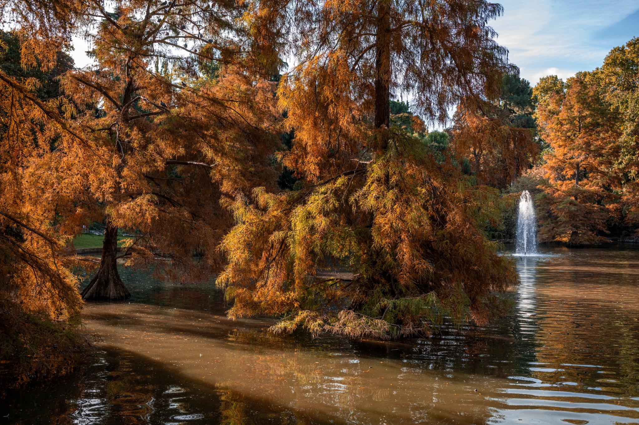 Foto de Santos Agumar Atocha 