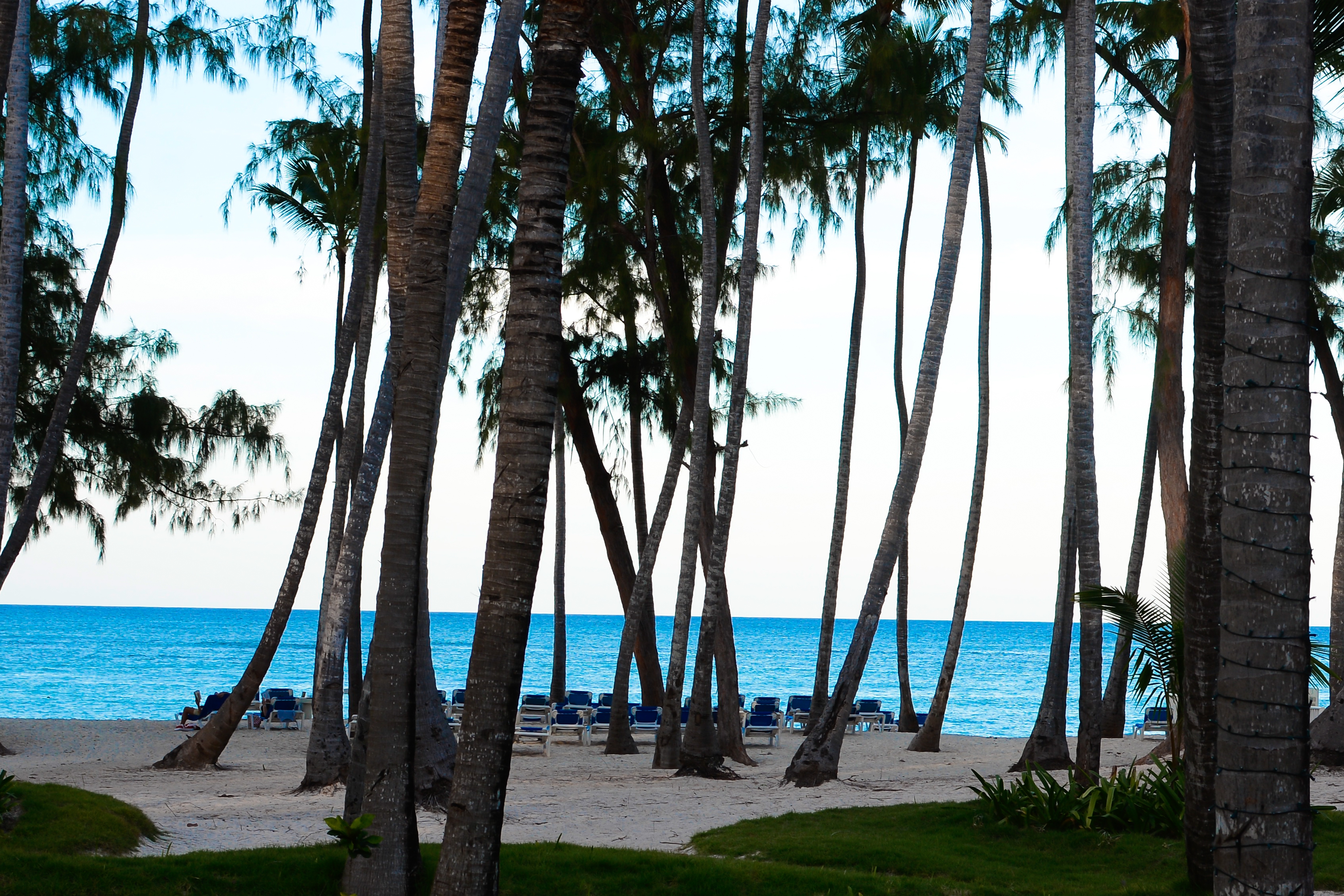 Foto de Vista Sol Punta Cana Beach Resort & Spa