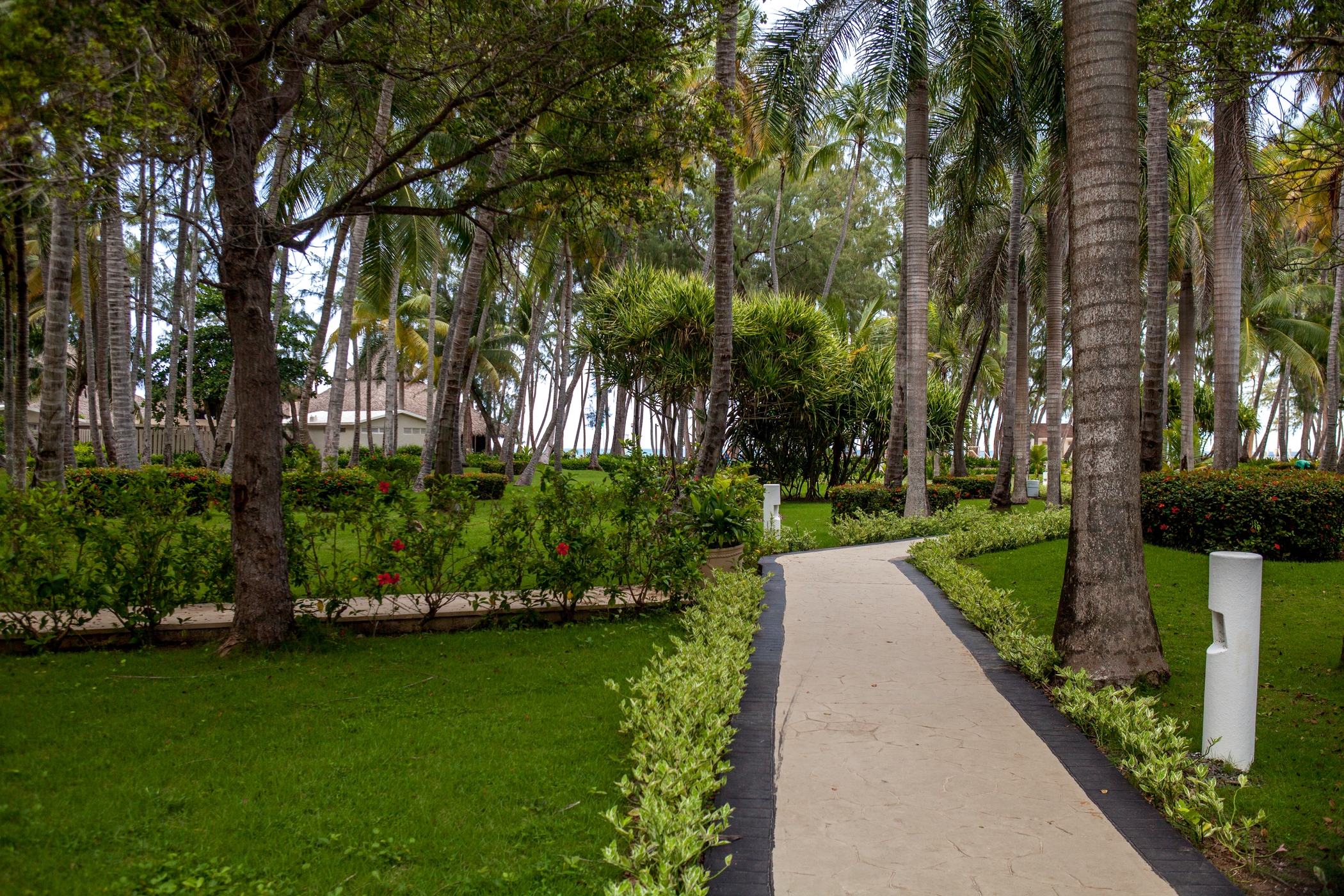 Foto de Vista Sol Punta Cana Beach Resort & Spa