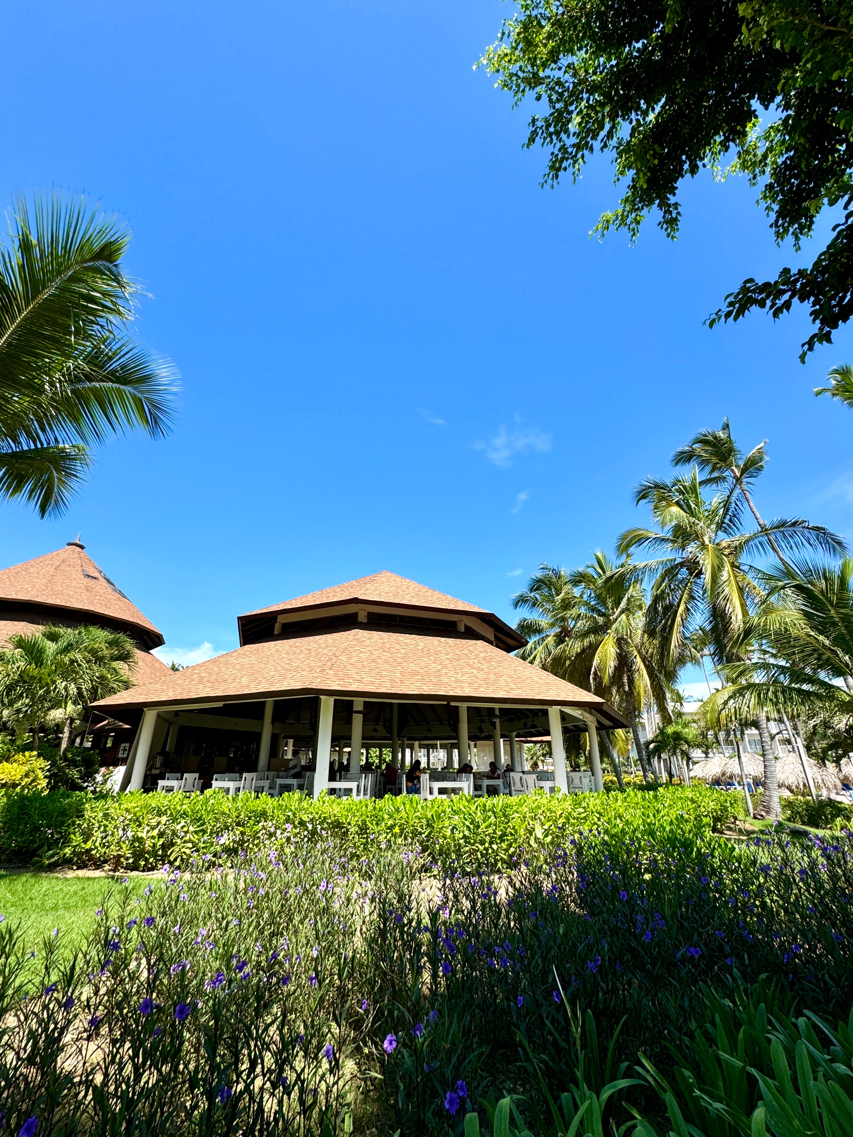 Foto de VIK Hotel Arena Blanca All Inclusive
