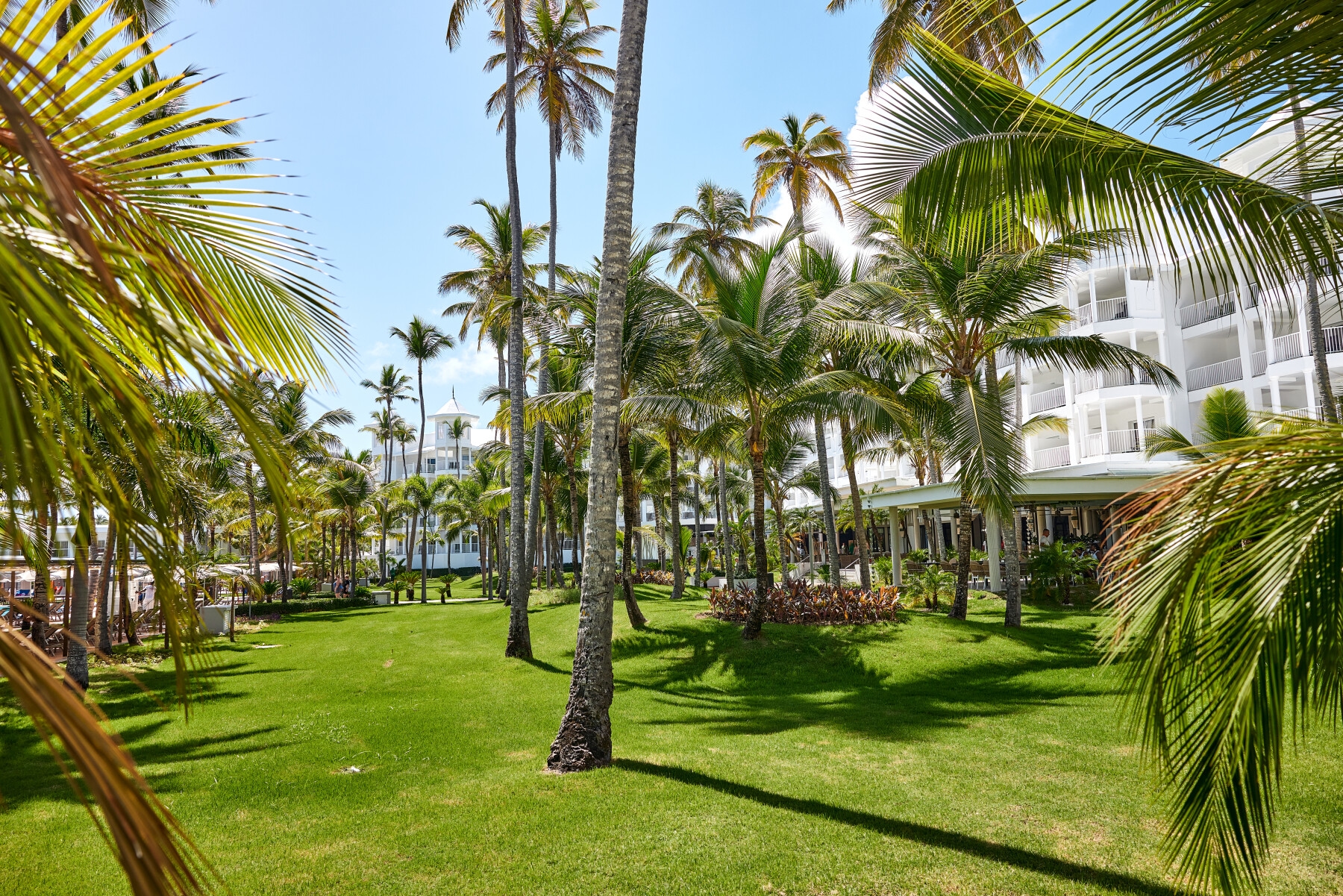 Foto de Riu Palace Macao - Adults Only - All Inclusive