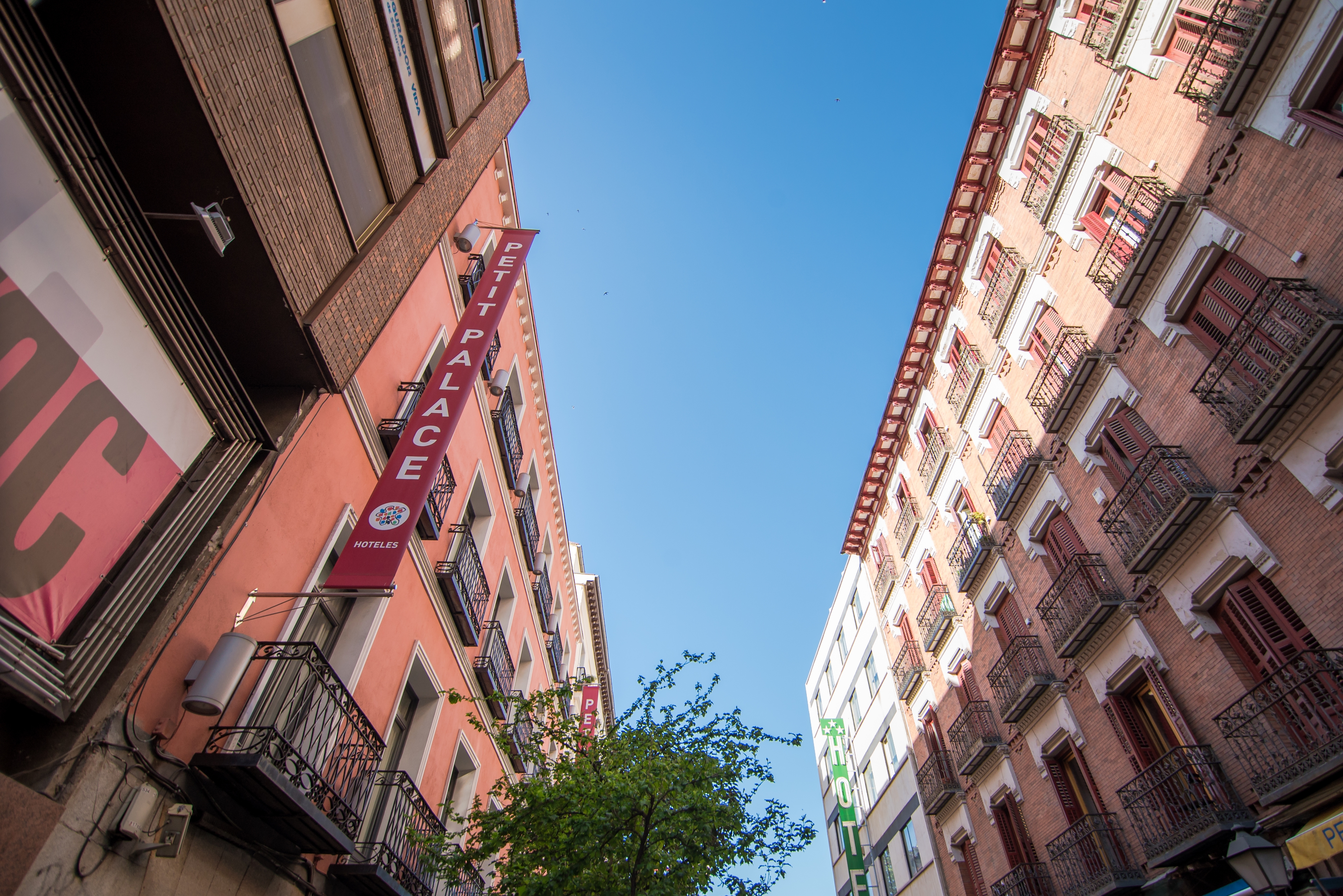 Foto de Petit Palace Tres Cruces Spain