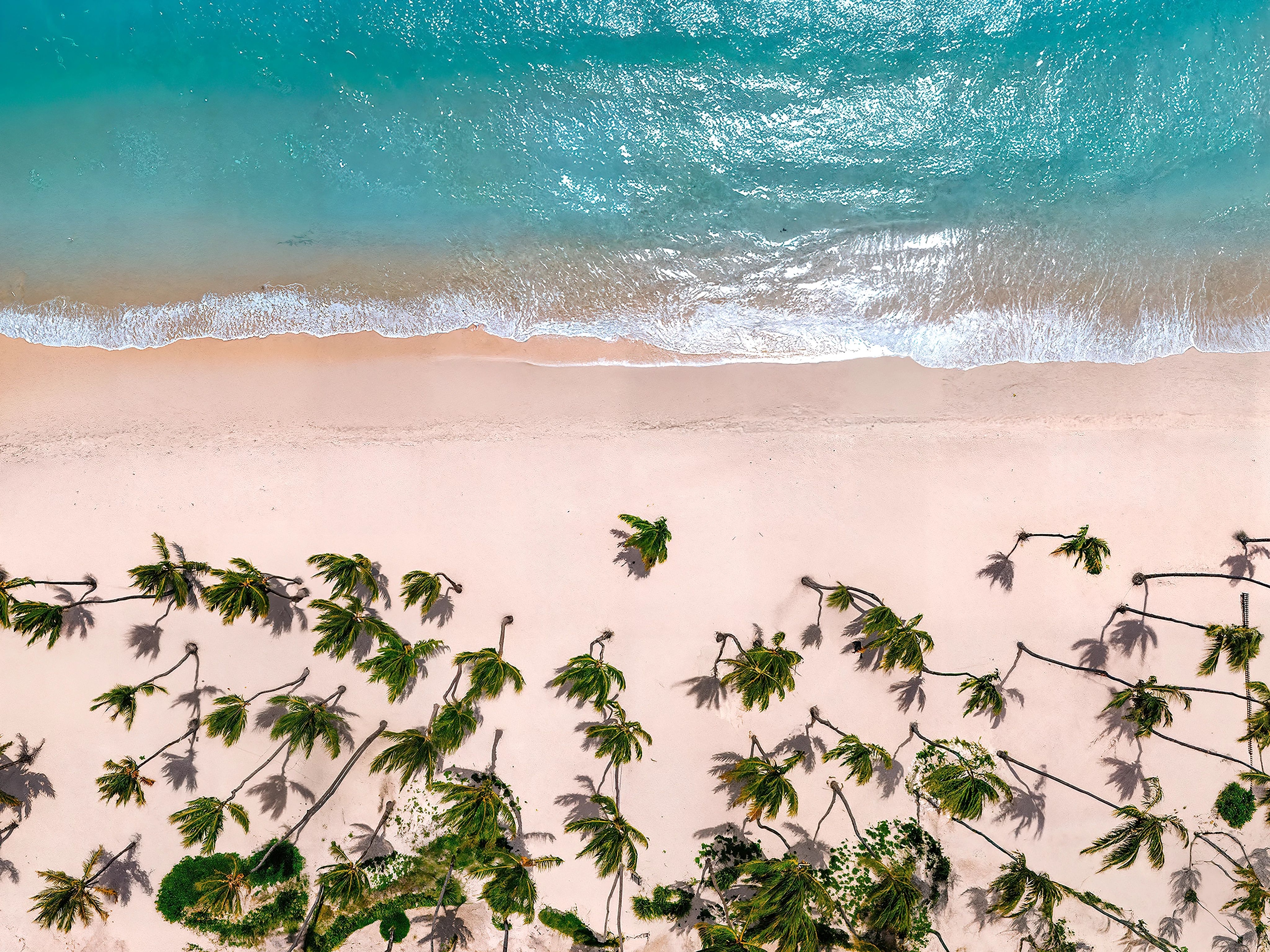 Foto de Hyatt Vivid Punta Cana
