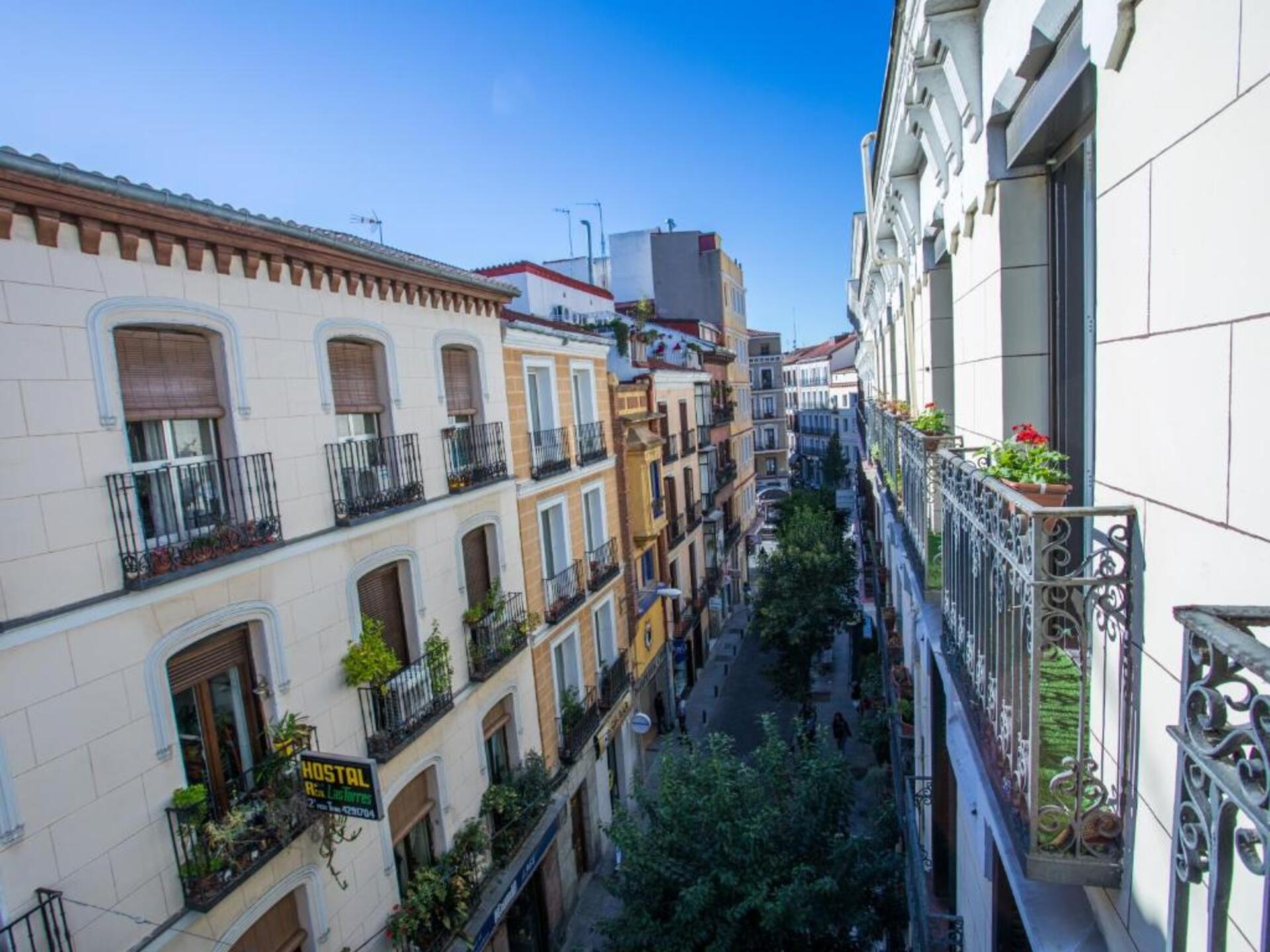 Foto de Das León