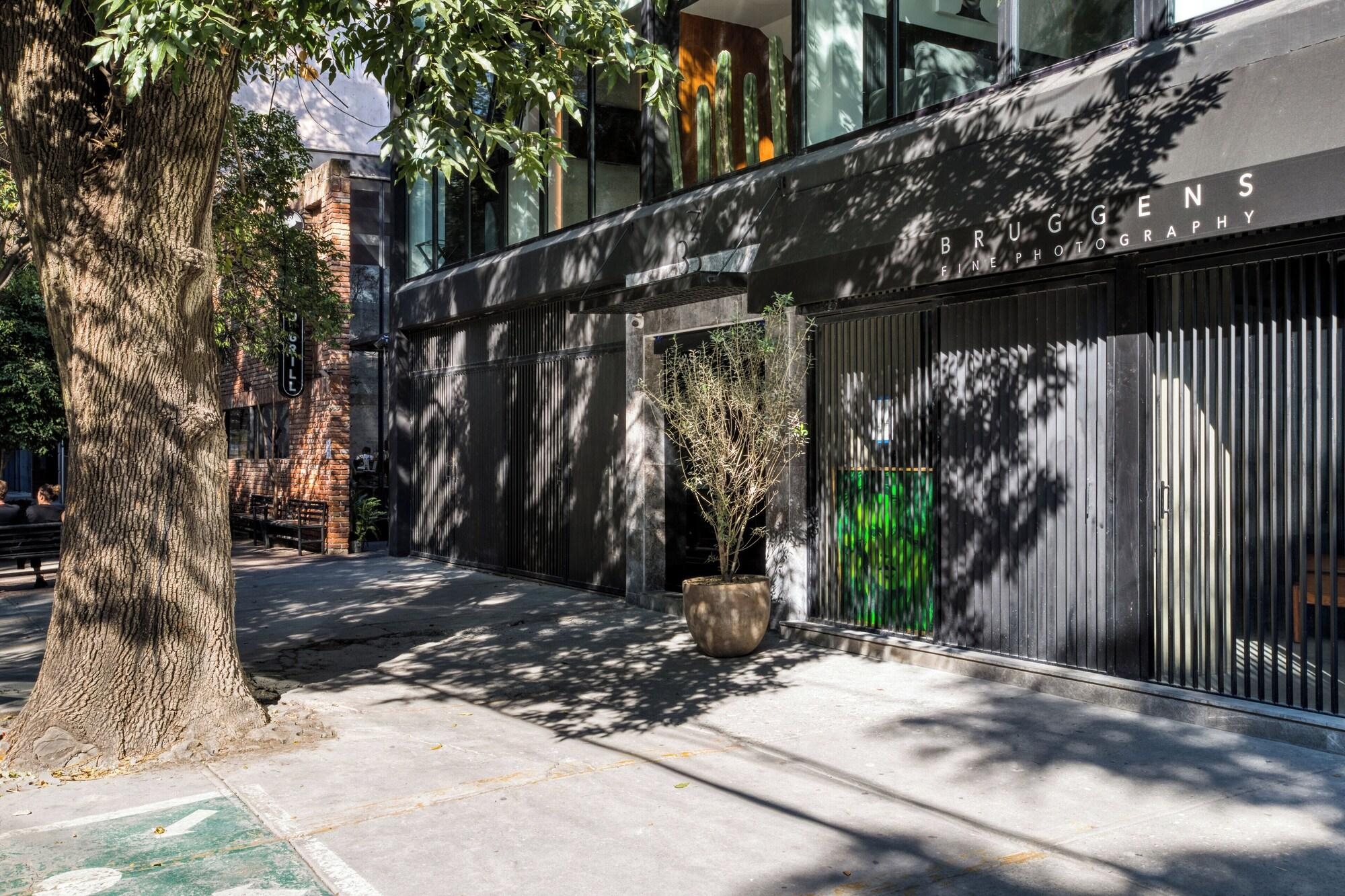 Foto de Uliv Park Polanco