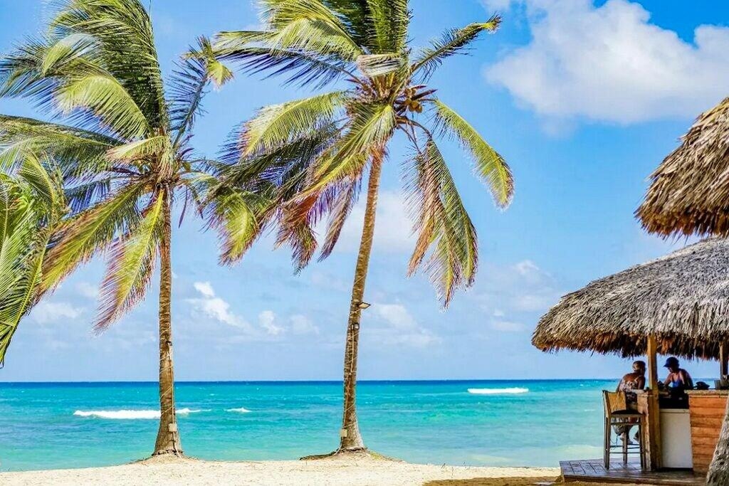 Foto de Playa Palmera Beach Resort