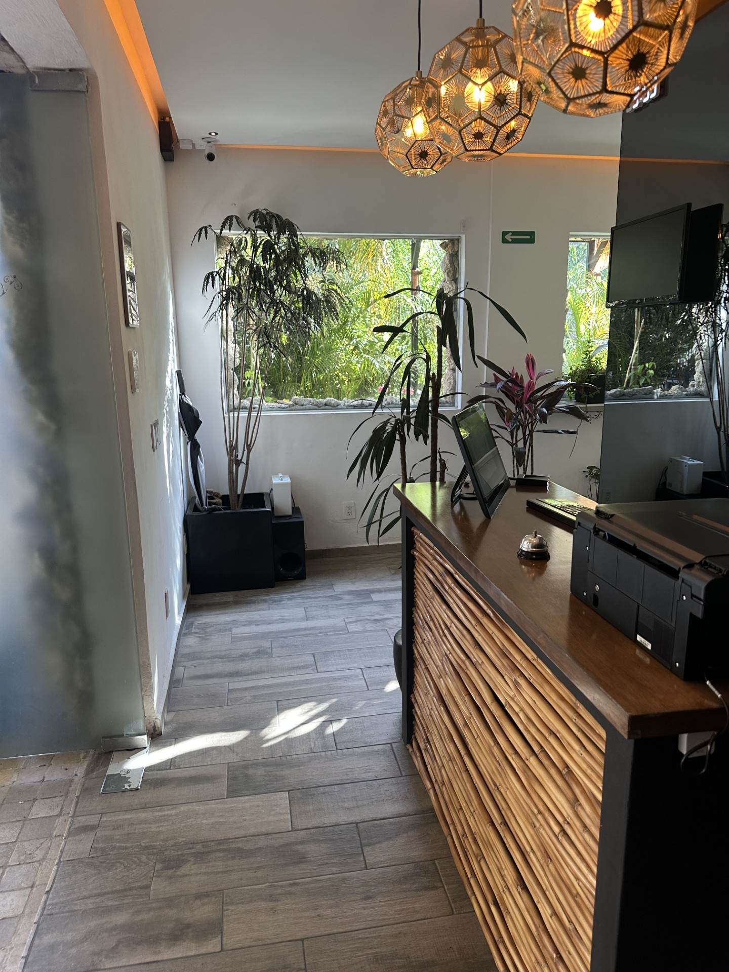 Foto de La Selva Hostel