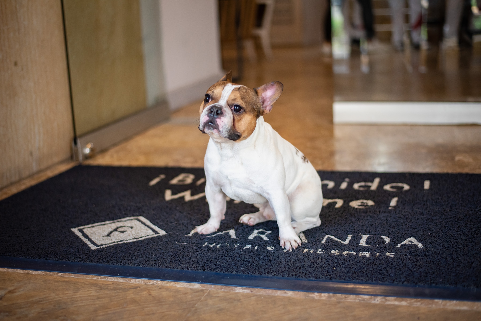 Foto de Faranda Express Belvedere