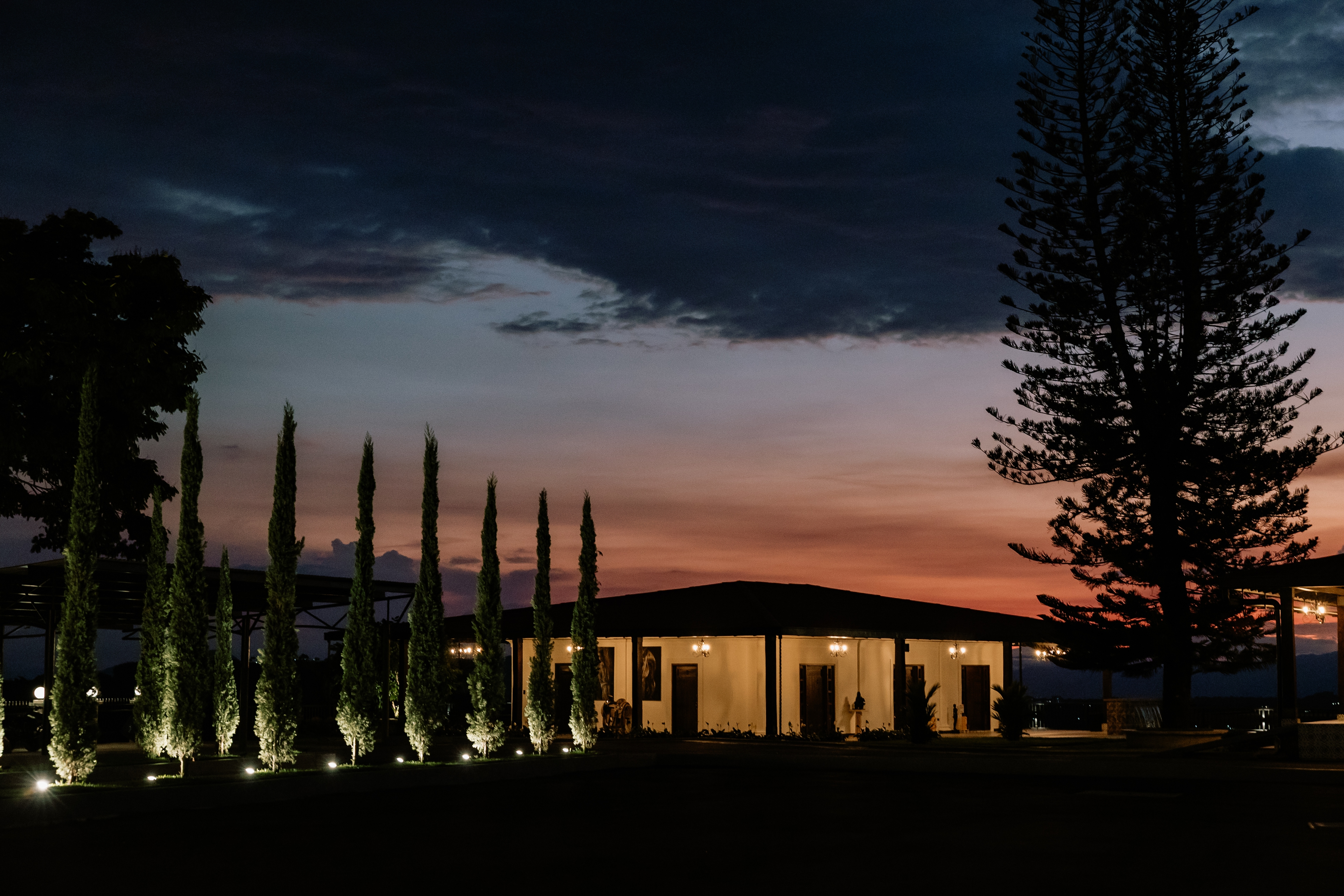 Foto de CATLEYA ROYAL CLUB