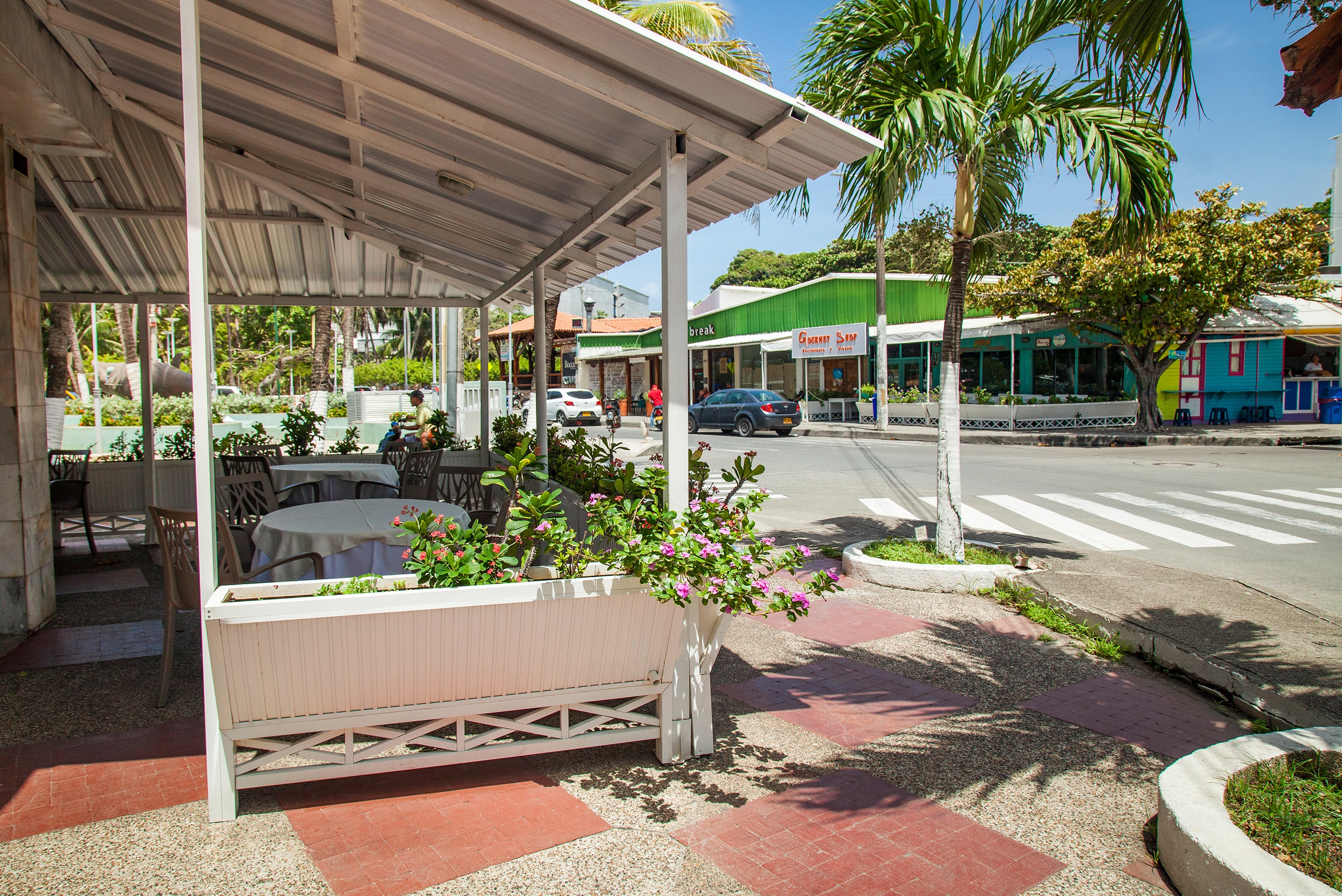 Foto de Sol Caribe Sea Flower