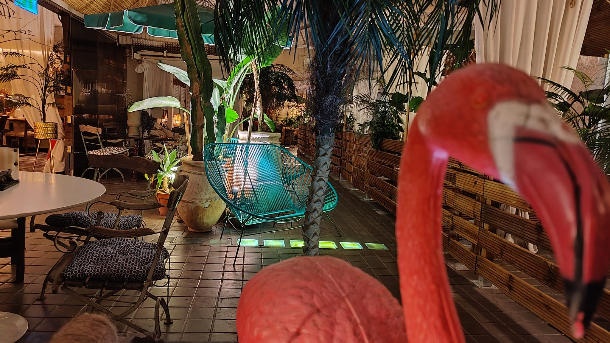 Foto de Life Gran Via - Tropical Garden