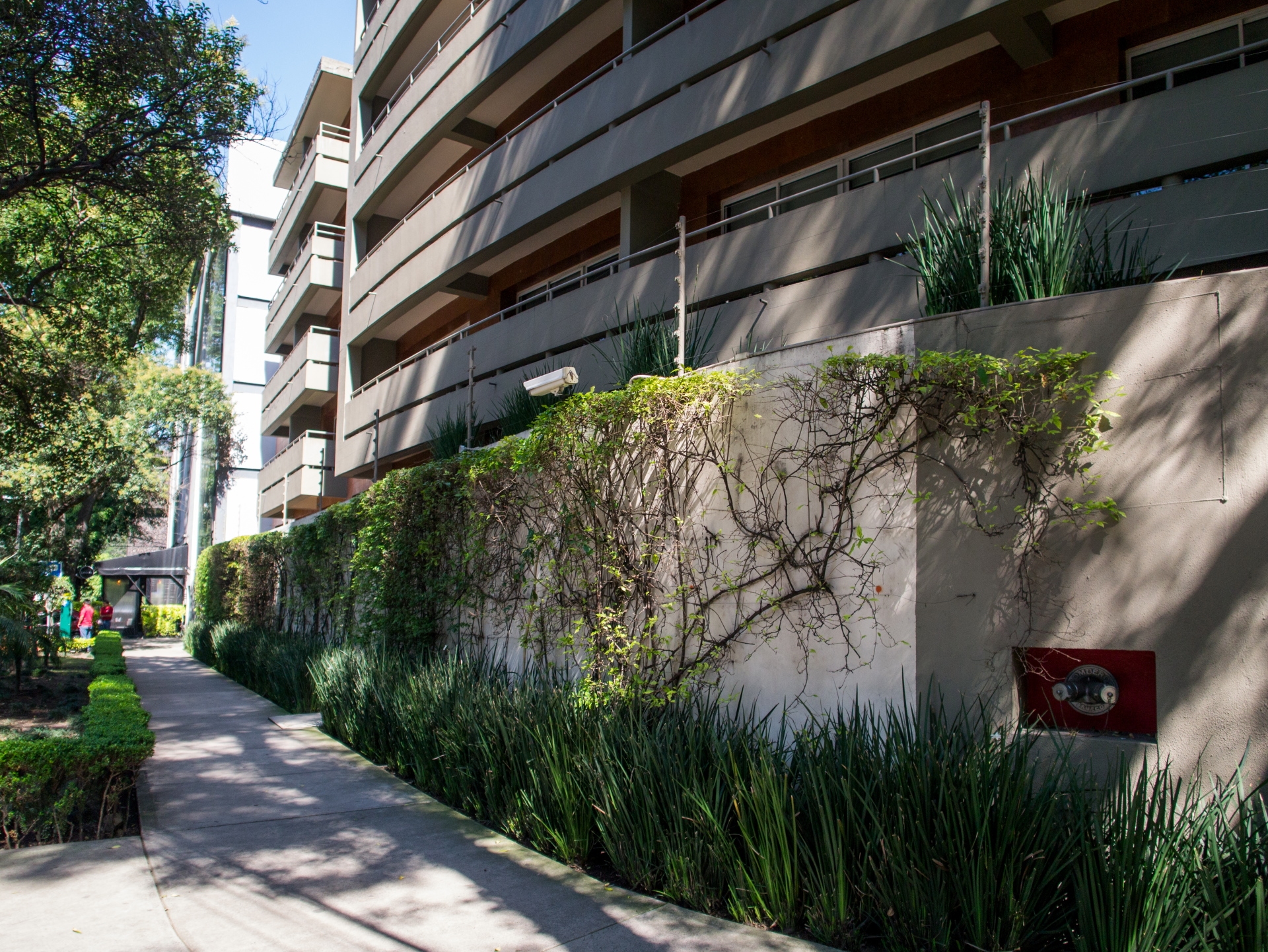 Foto de Dominion Polanco Suites