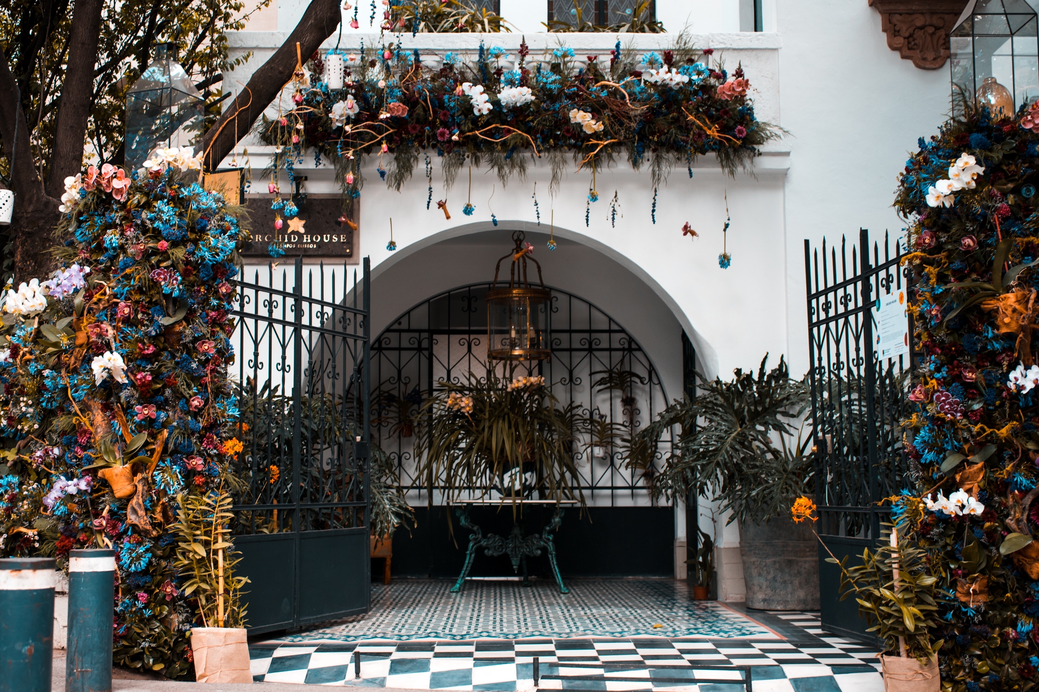 Foto de Orchid House Polanco