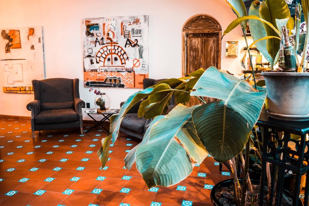 Foto de Orchid House Polanco