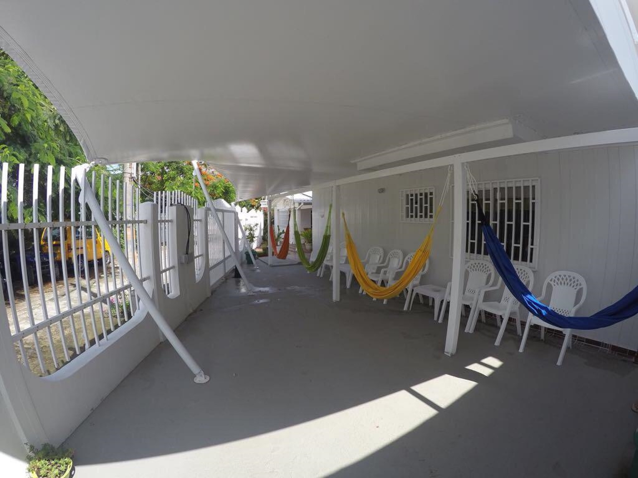 Foto de Tropical Coral