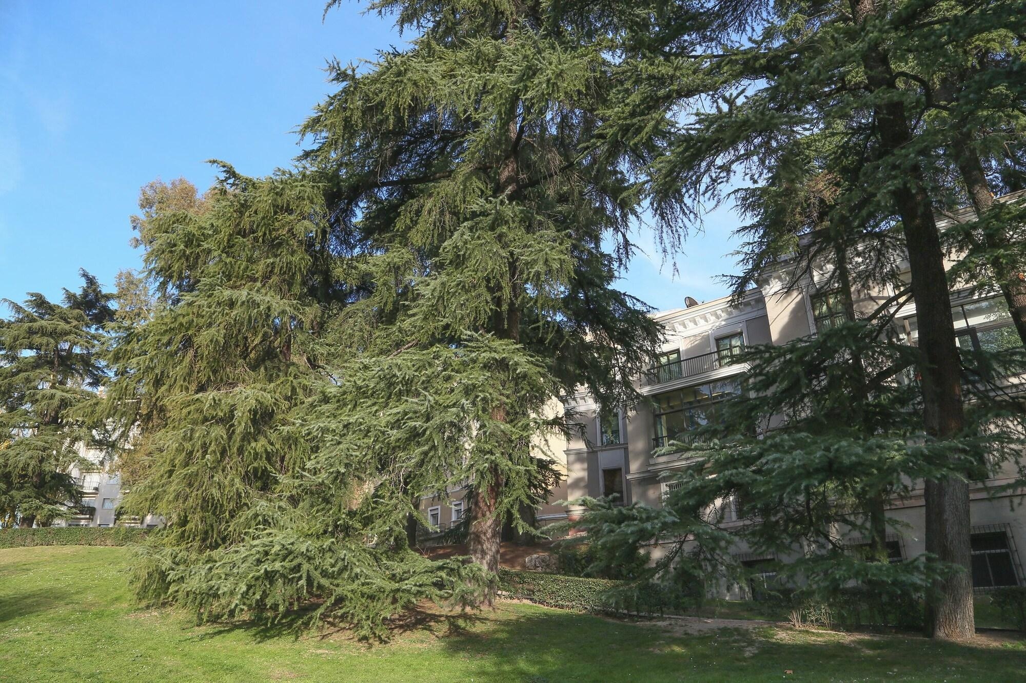 Foto de Hostels Meetingpoint
