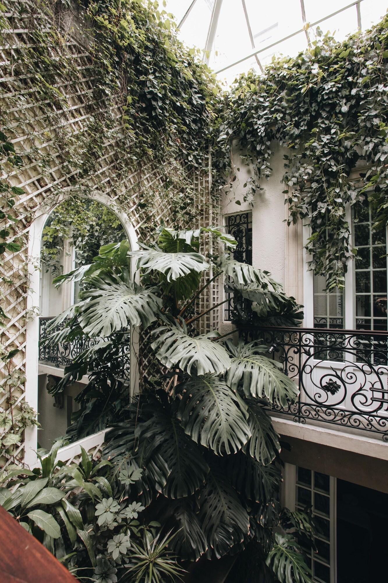 Foto de Nima Local House Hotel