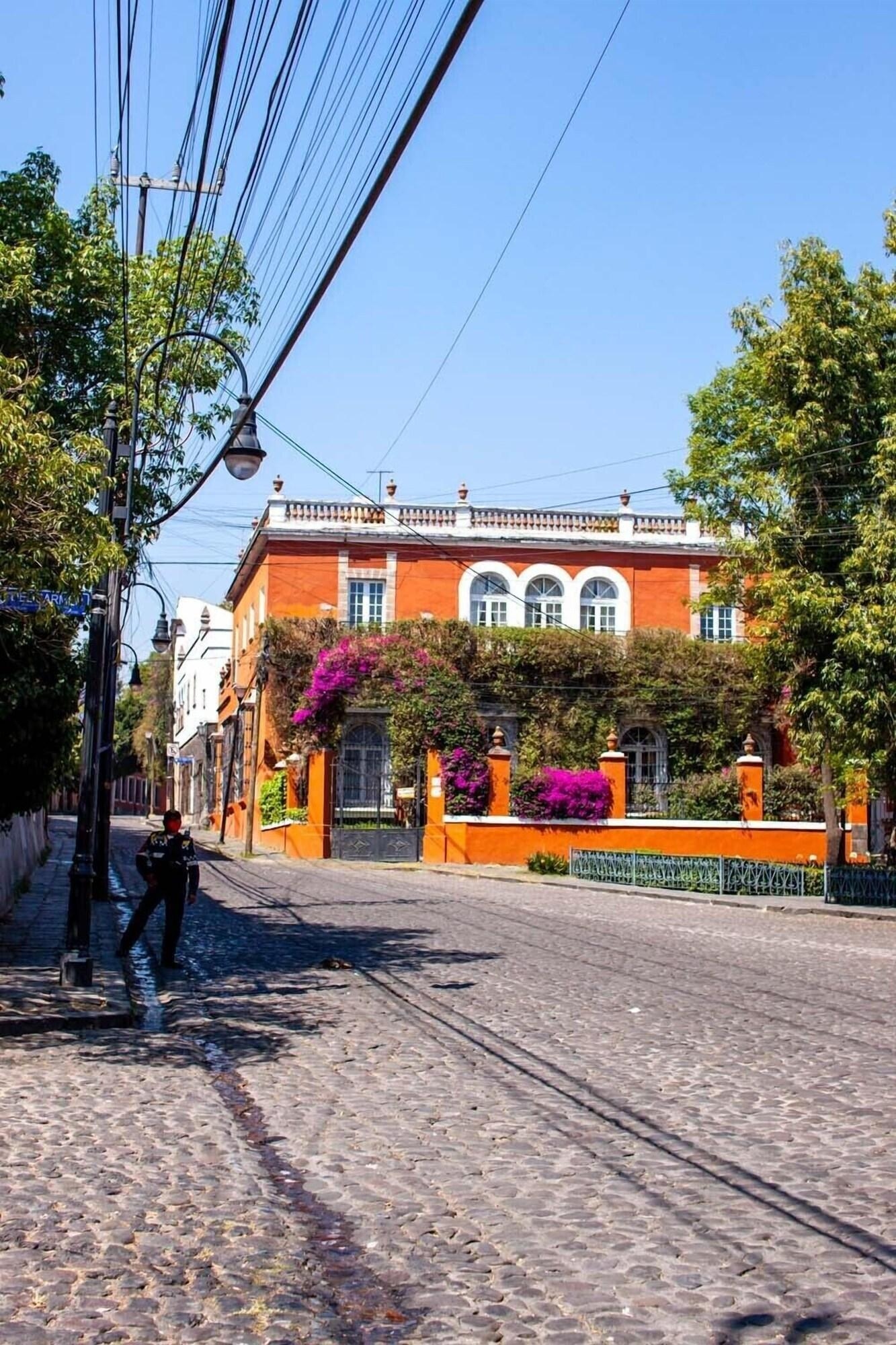 Foto de Mansion Papilio
