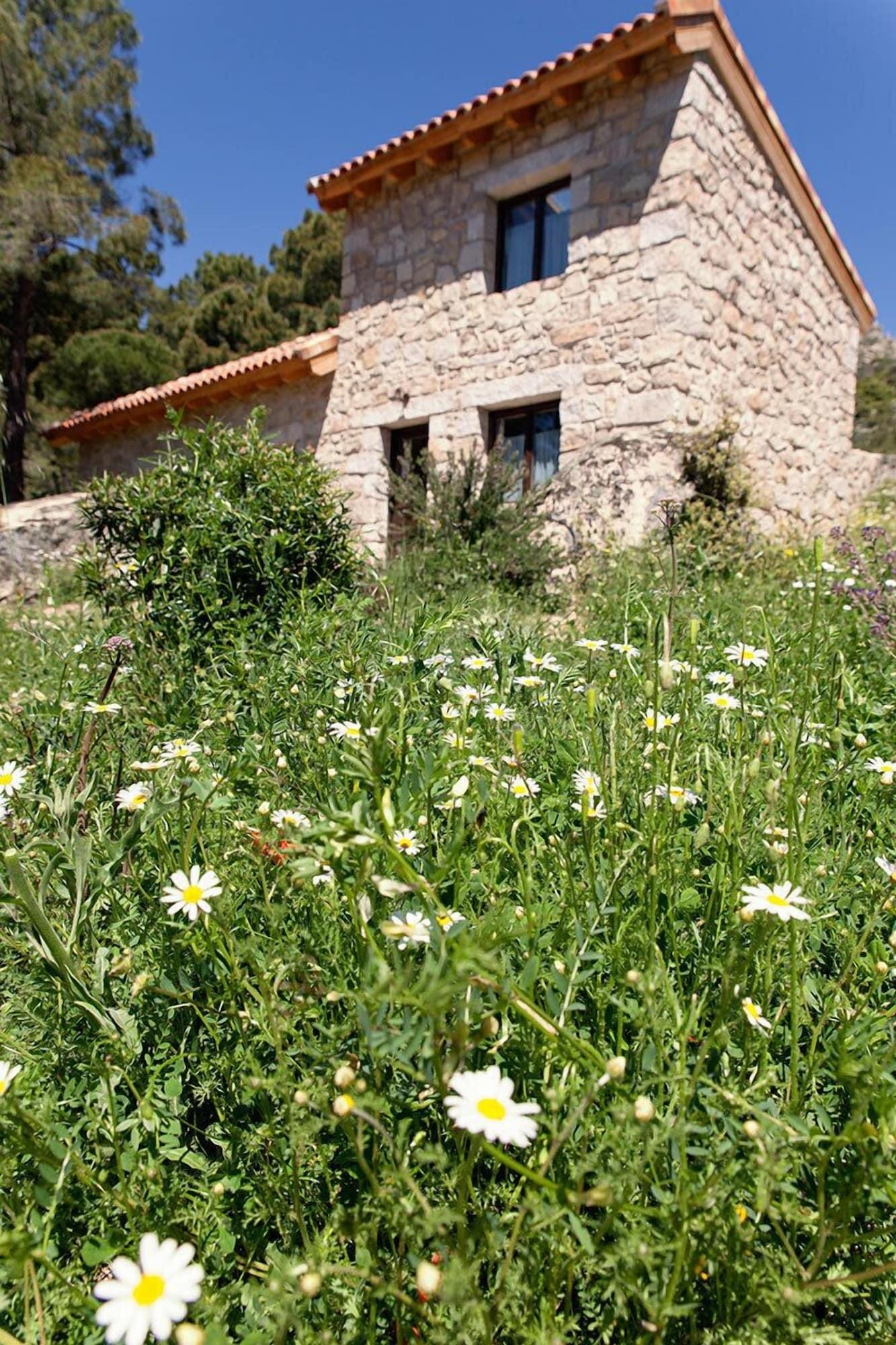 Foto de Huerto San Antonio
