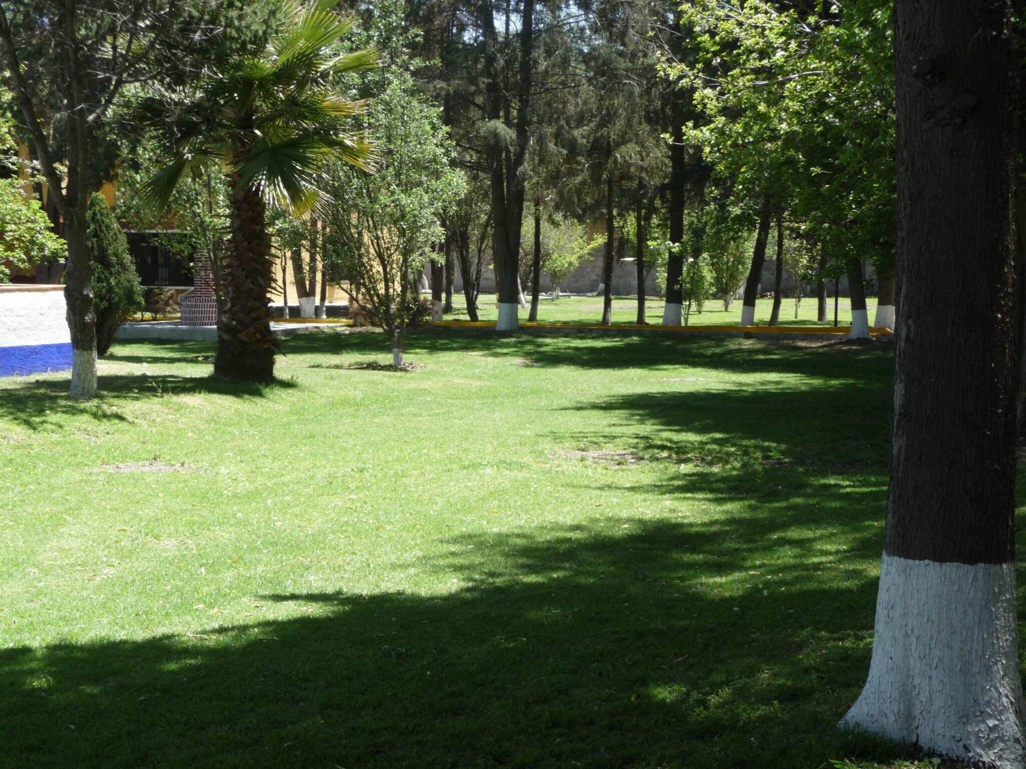 Foto de Hotel Finca Las Hortensias