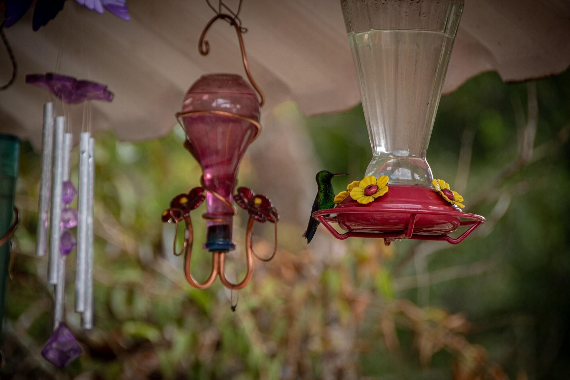 Foto de Chunuu Hostal Y Glamping Minca