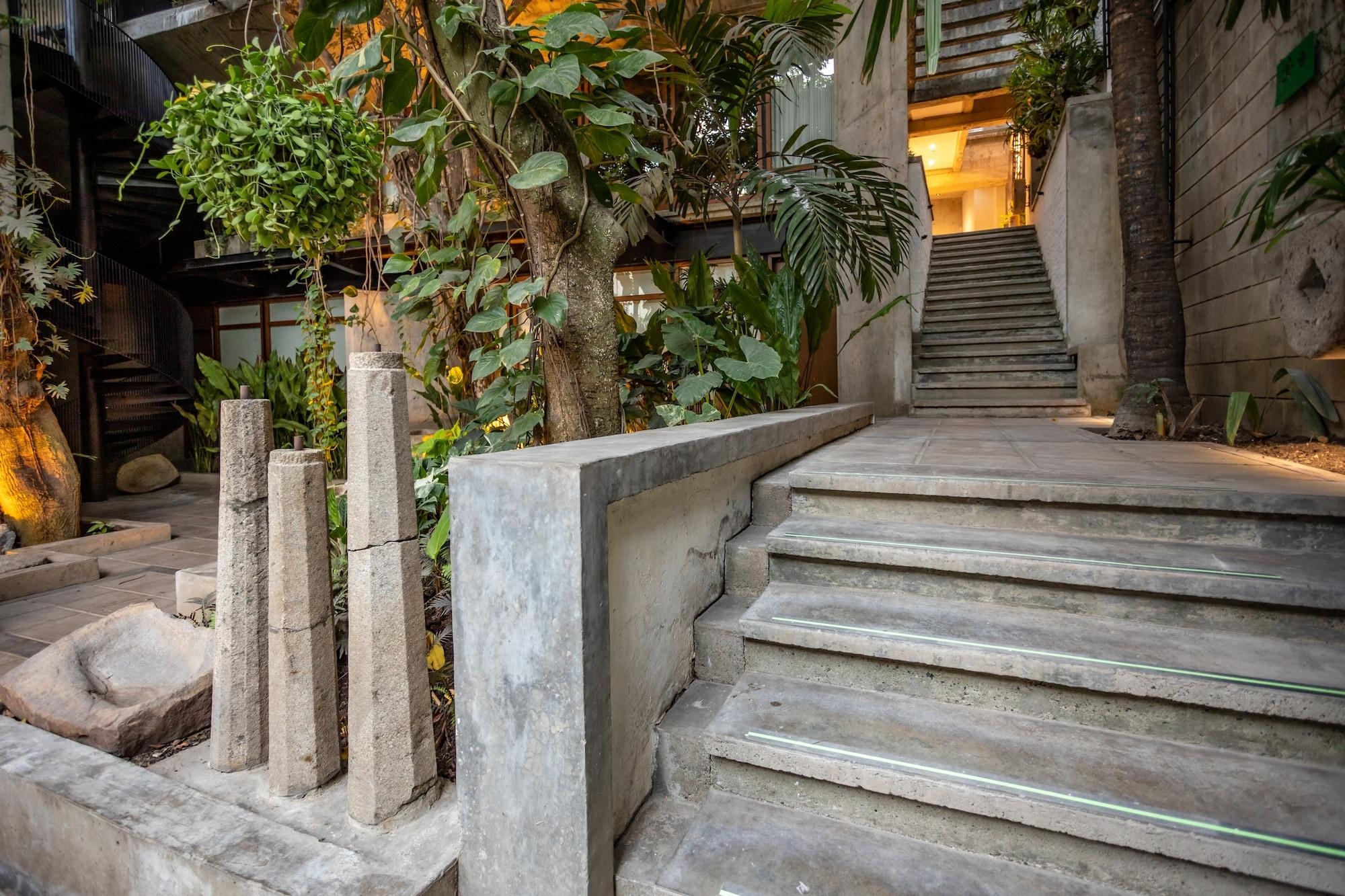 Foto de Alko Hotel Casa Nispero