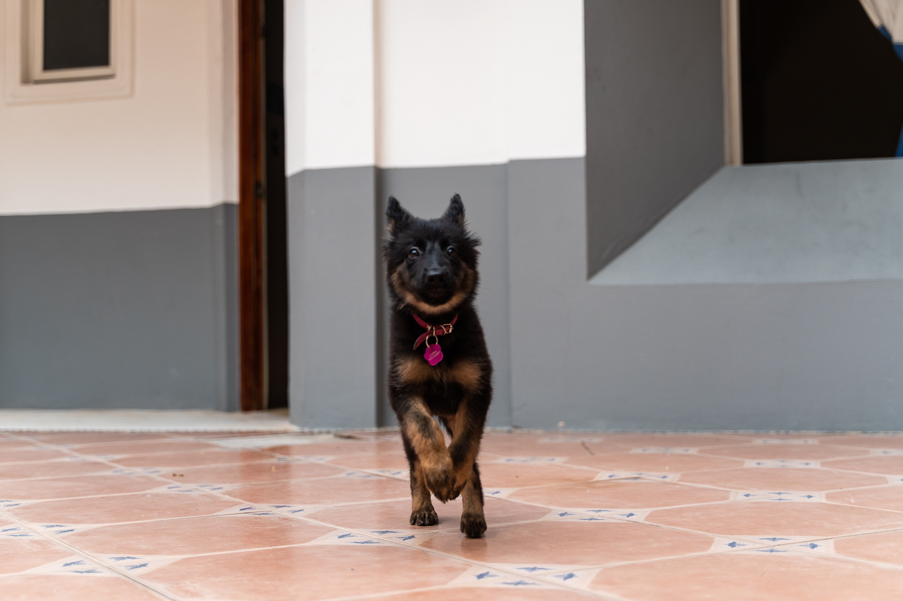 Foto de Hotel Om Huatulco