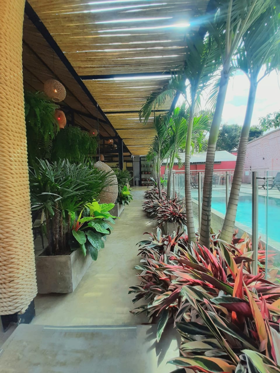 Foto de Rossa Palma Hotel Boutique