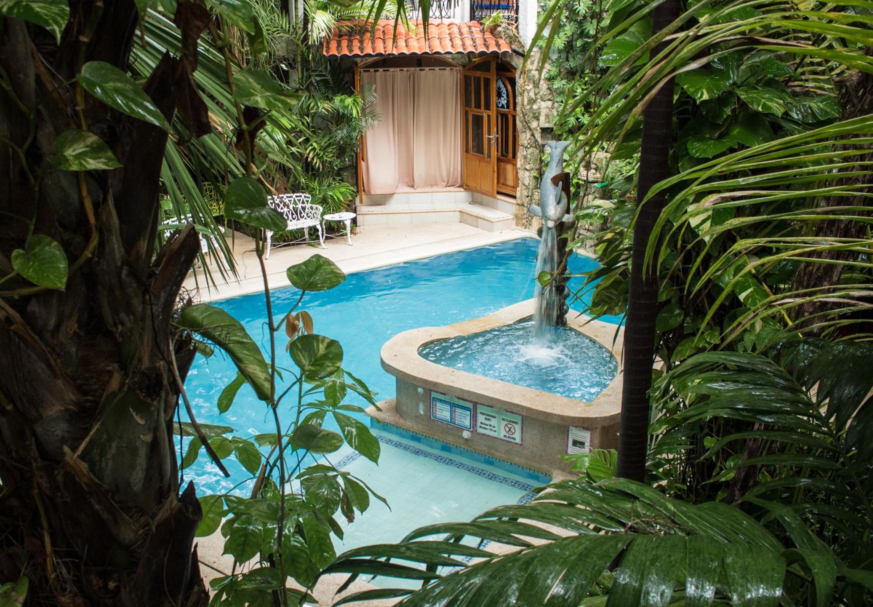 Foto de Eco-hotel El Rey del Caribe