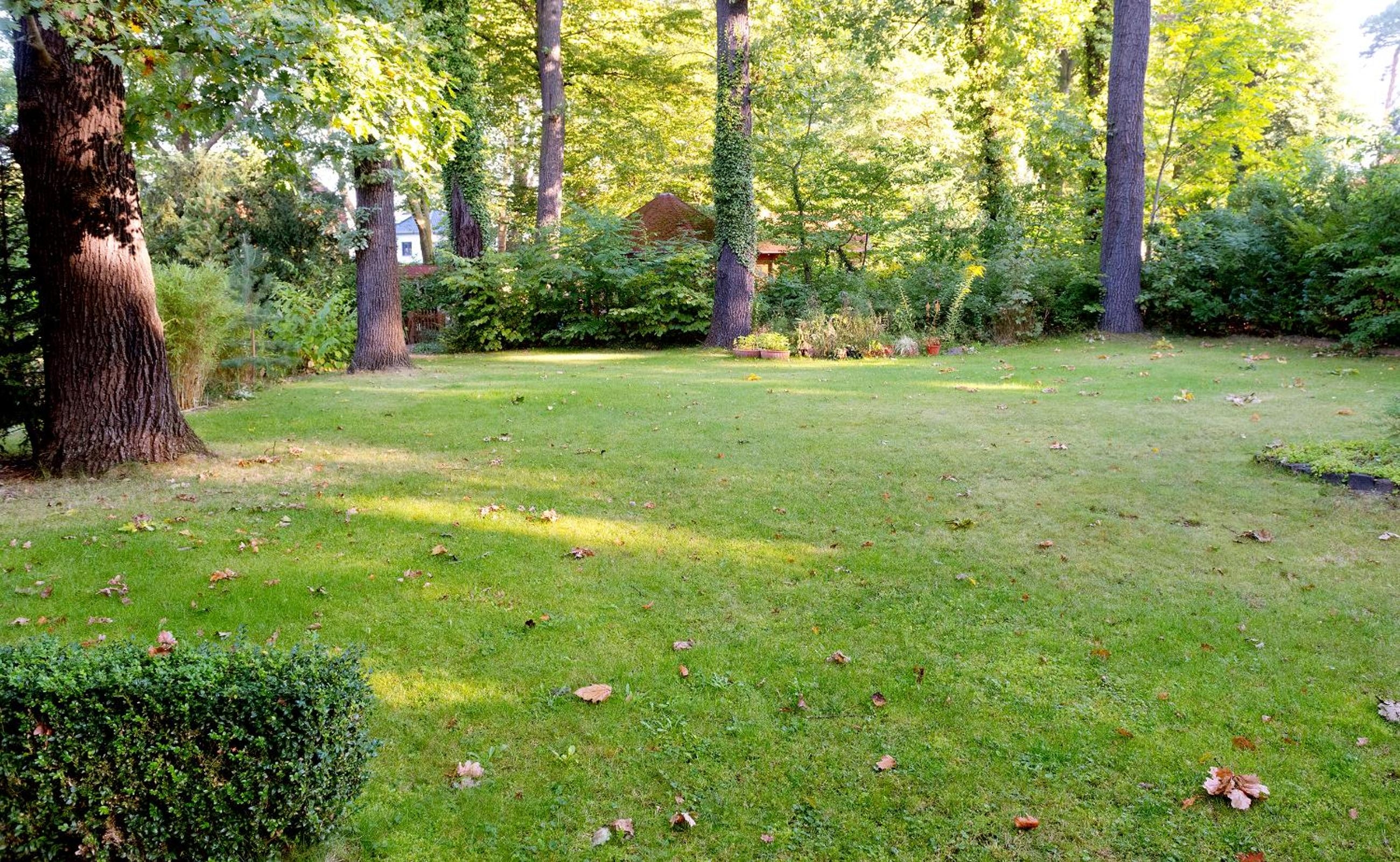 Foto de Hotel am Katharinenholz