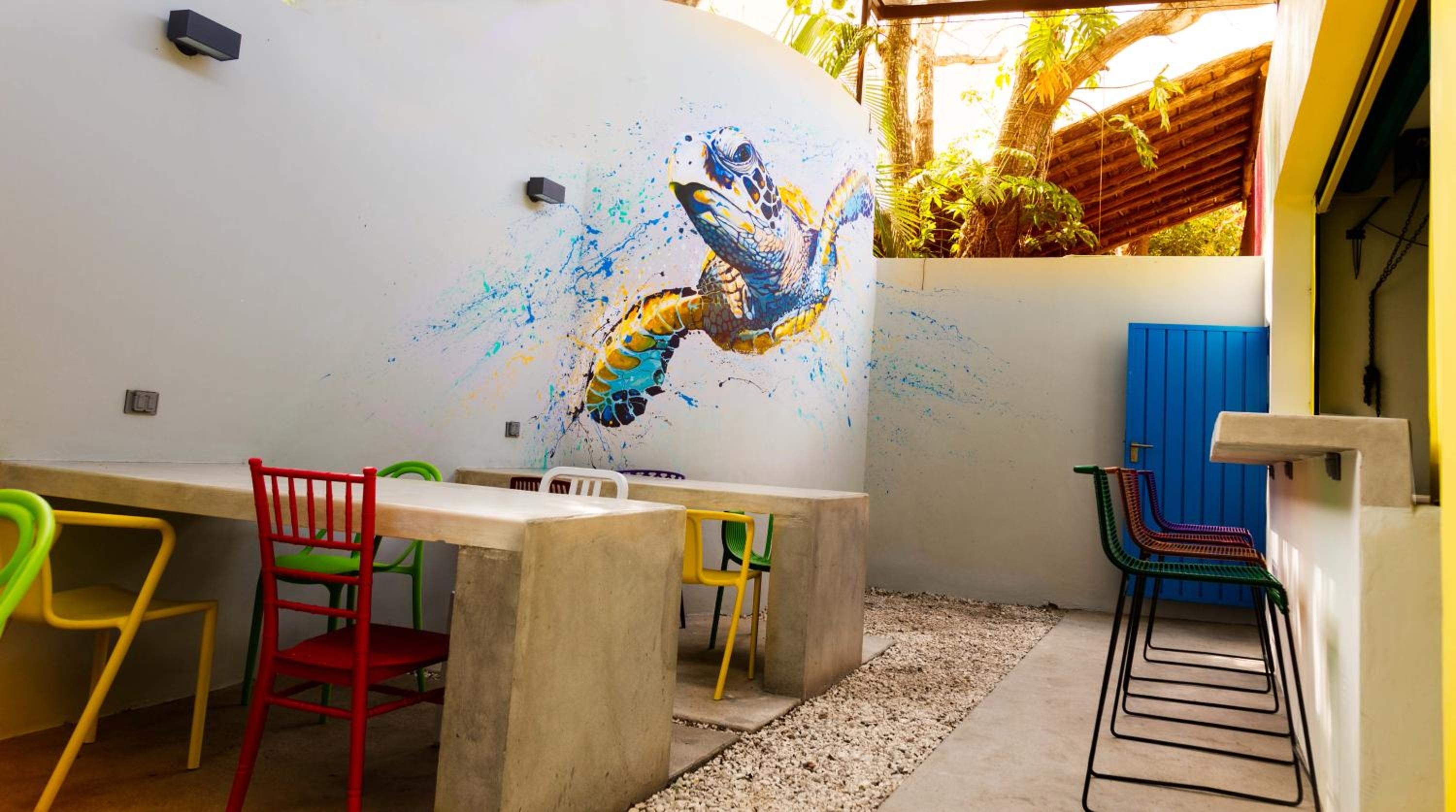 Foto de Hostel Frente al Mar Tropico 20º