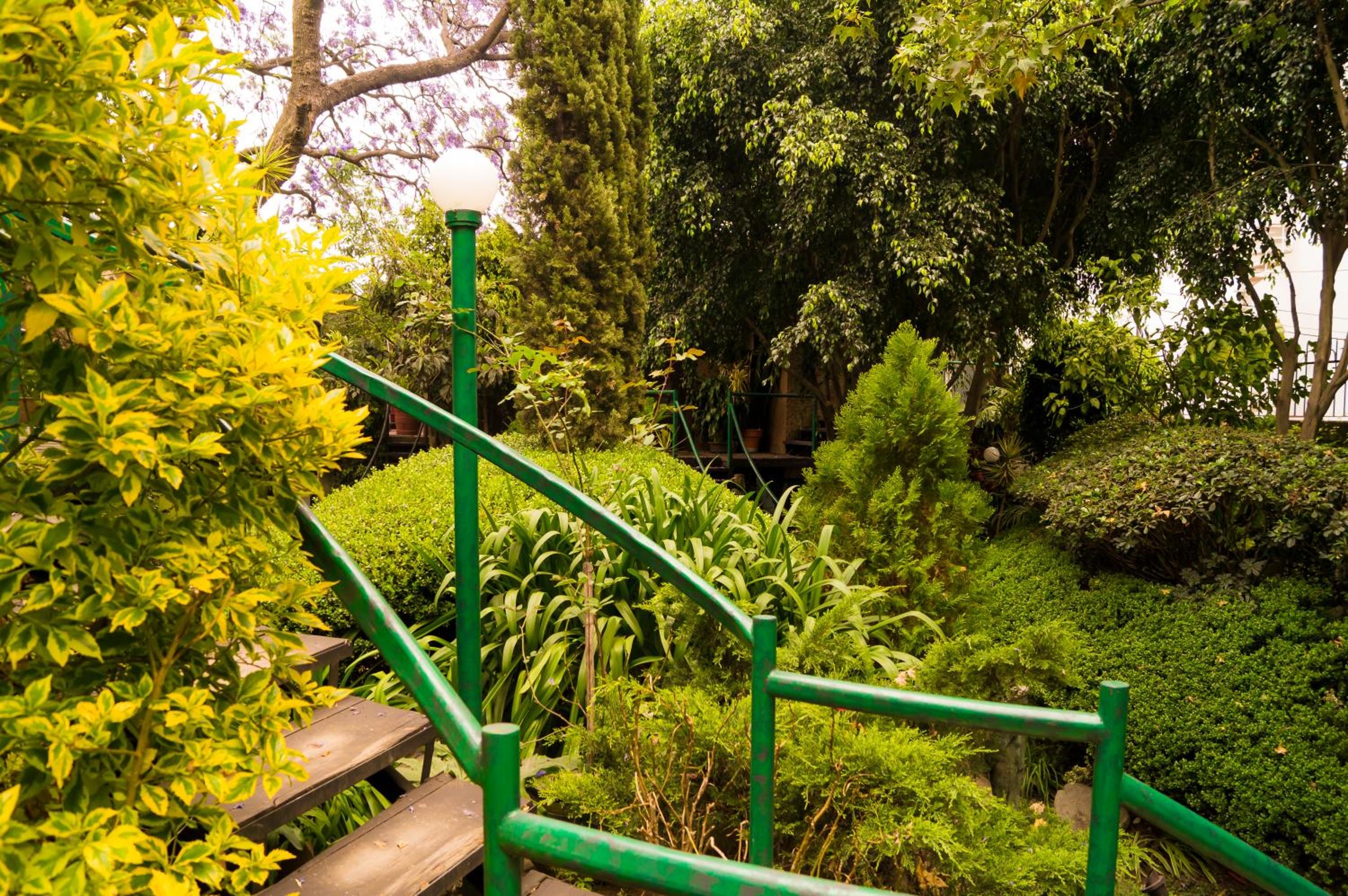 Foto de Suite 5B, Cultura, Garden House, Welcome to San Angel