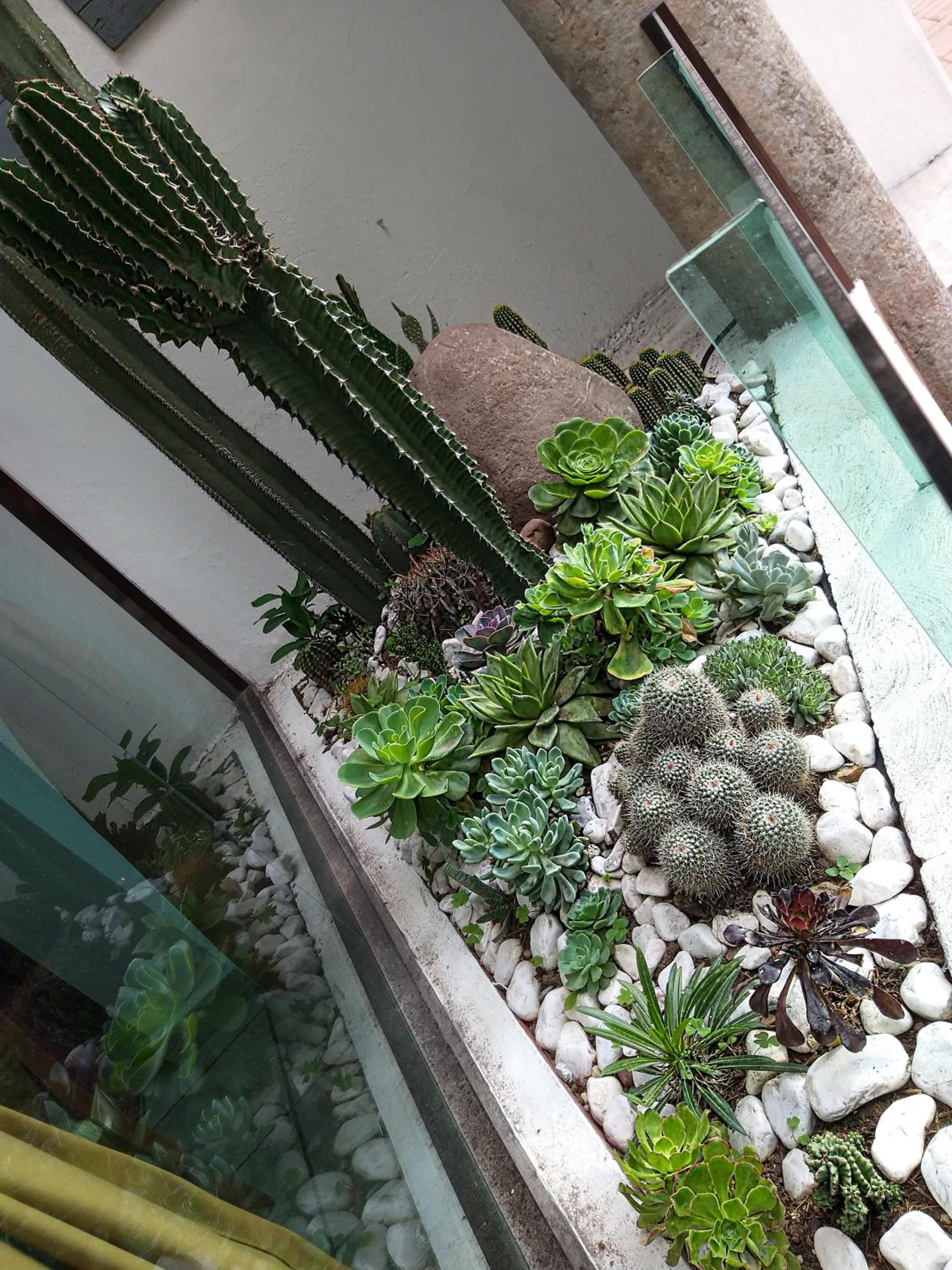 Foto de Hotel Boutique Acocalli