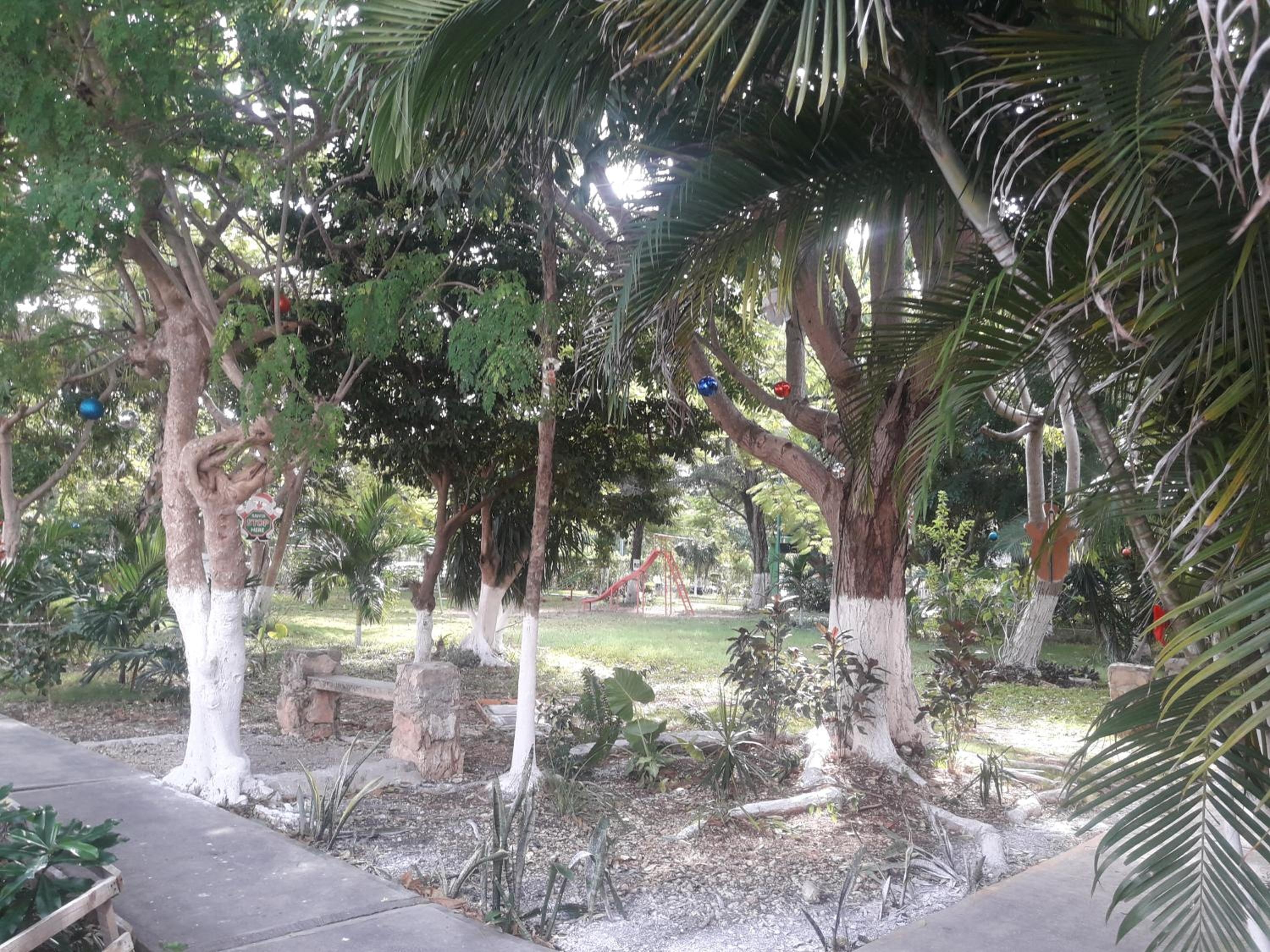 Foto de Casa Luz Verde
