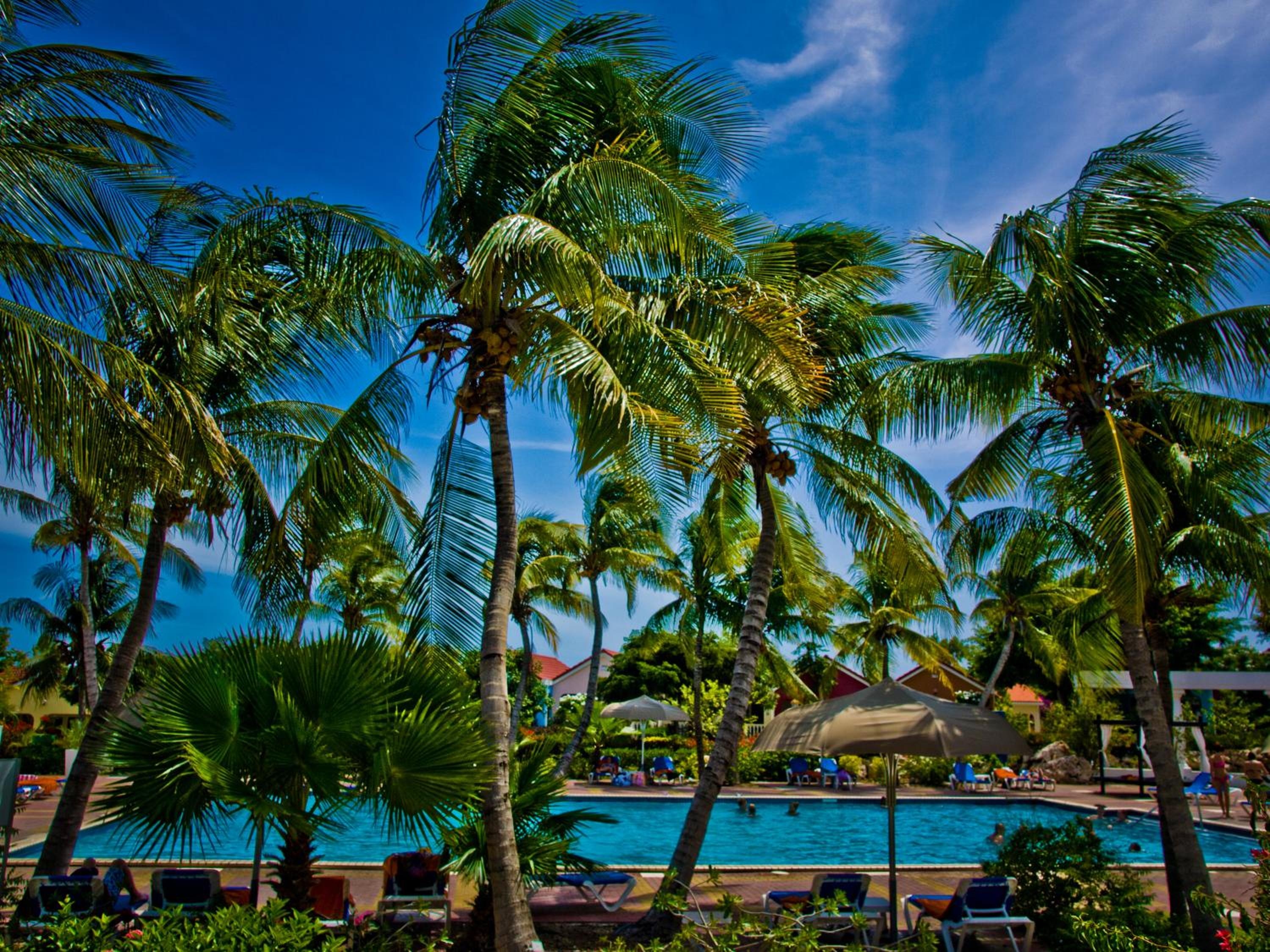 Foto de Sonesta Hotels & Resorts Livingstone Curacao