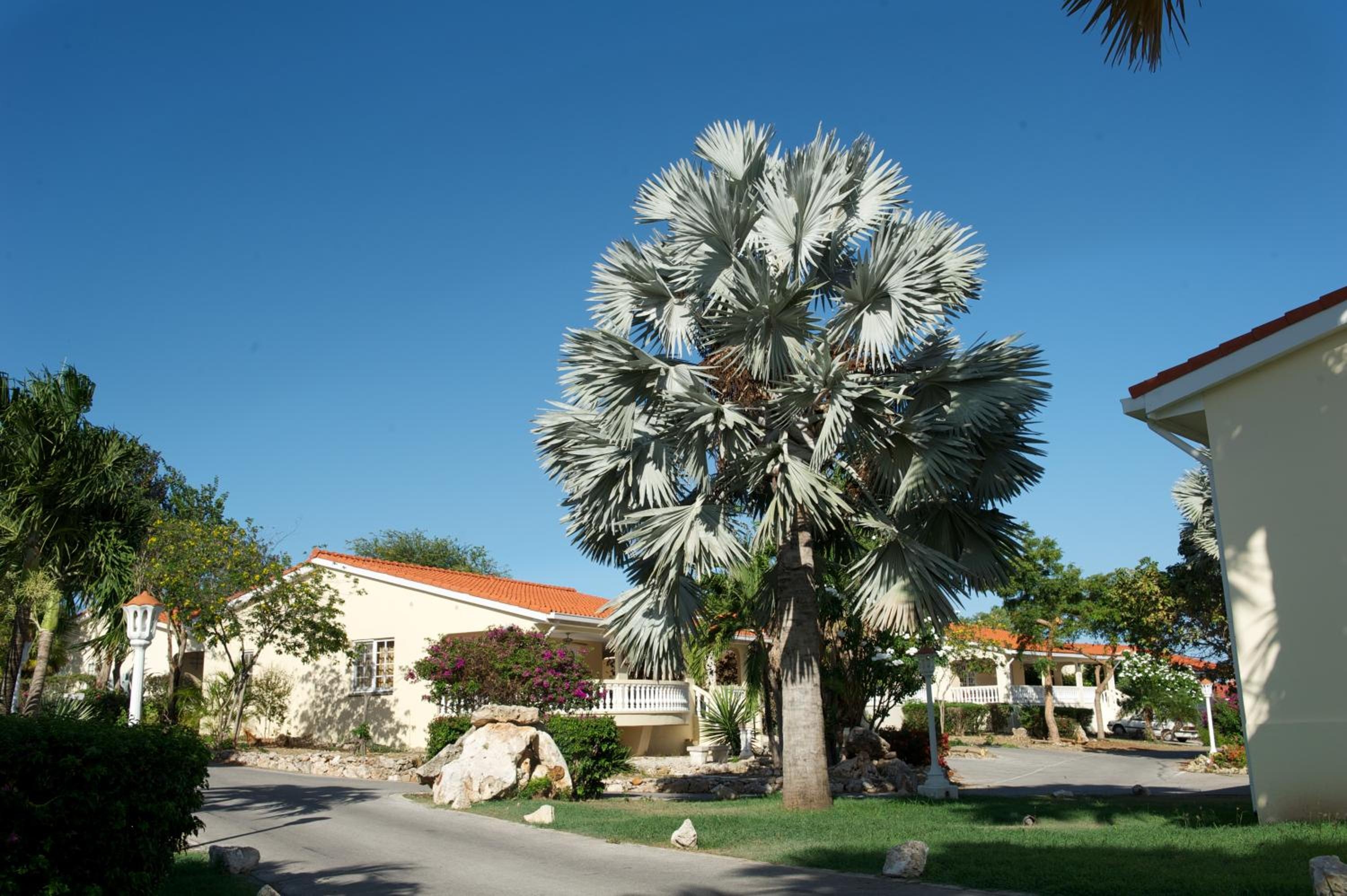 Foto de Sonesta Hotels & Resorts Livingstone Curacao