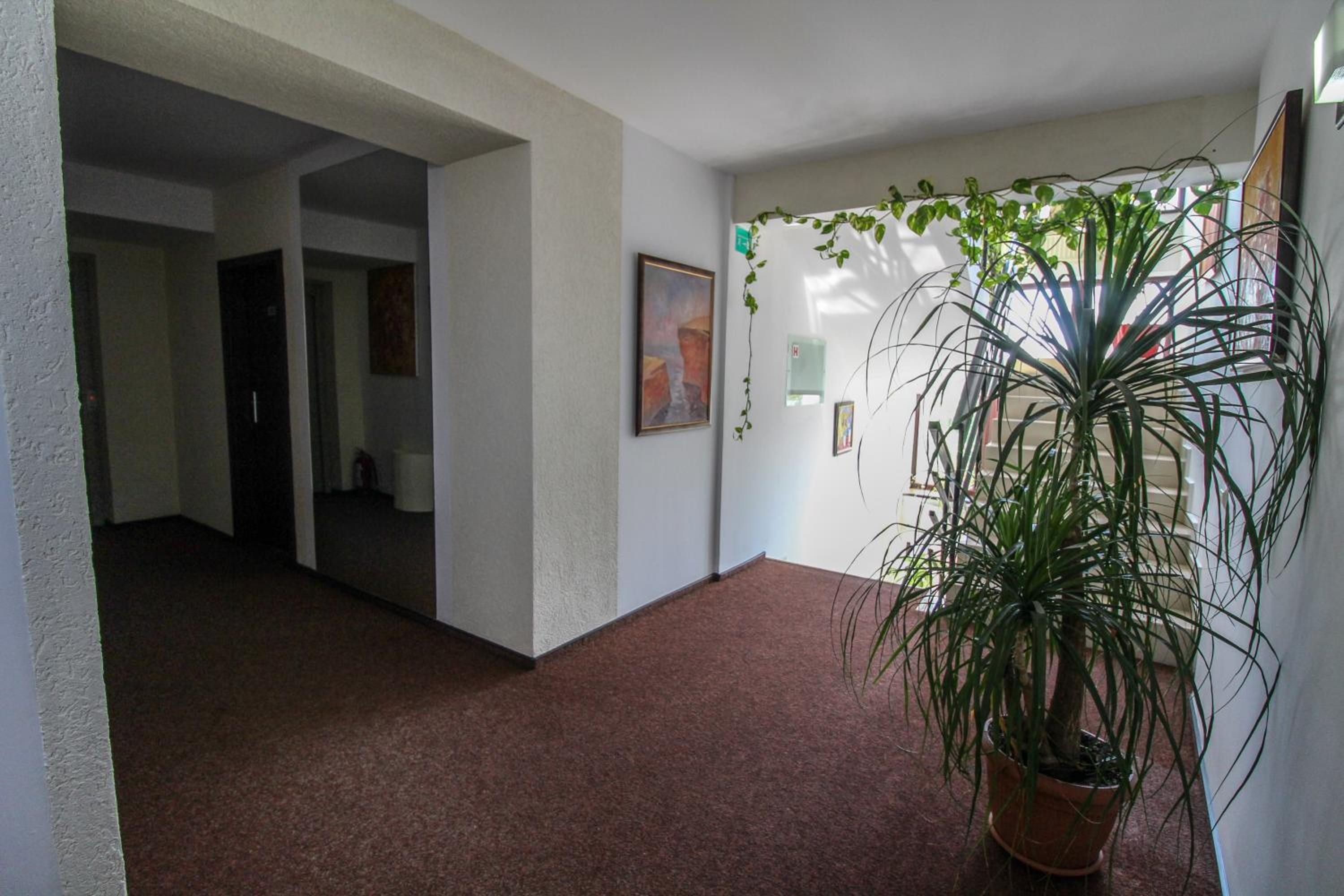 Foto de Hotel Razvan