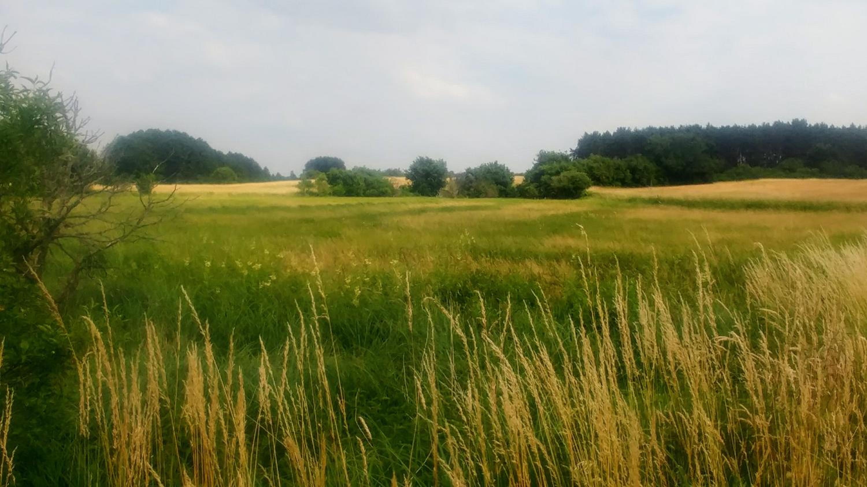 Foto de Mirabellenhof - Kleine Ferienwohnung mit Altstadtblick