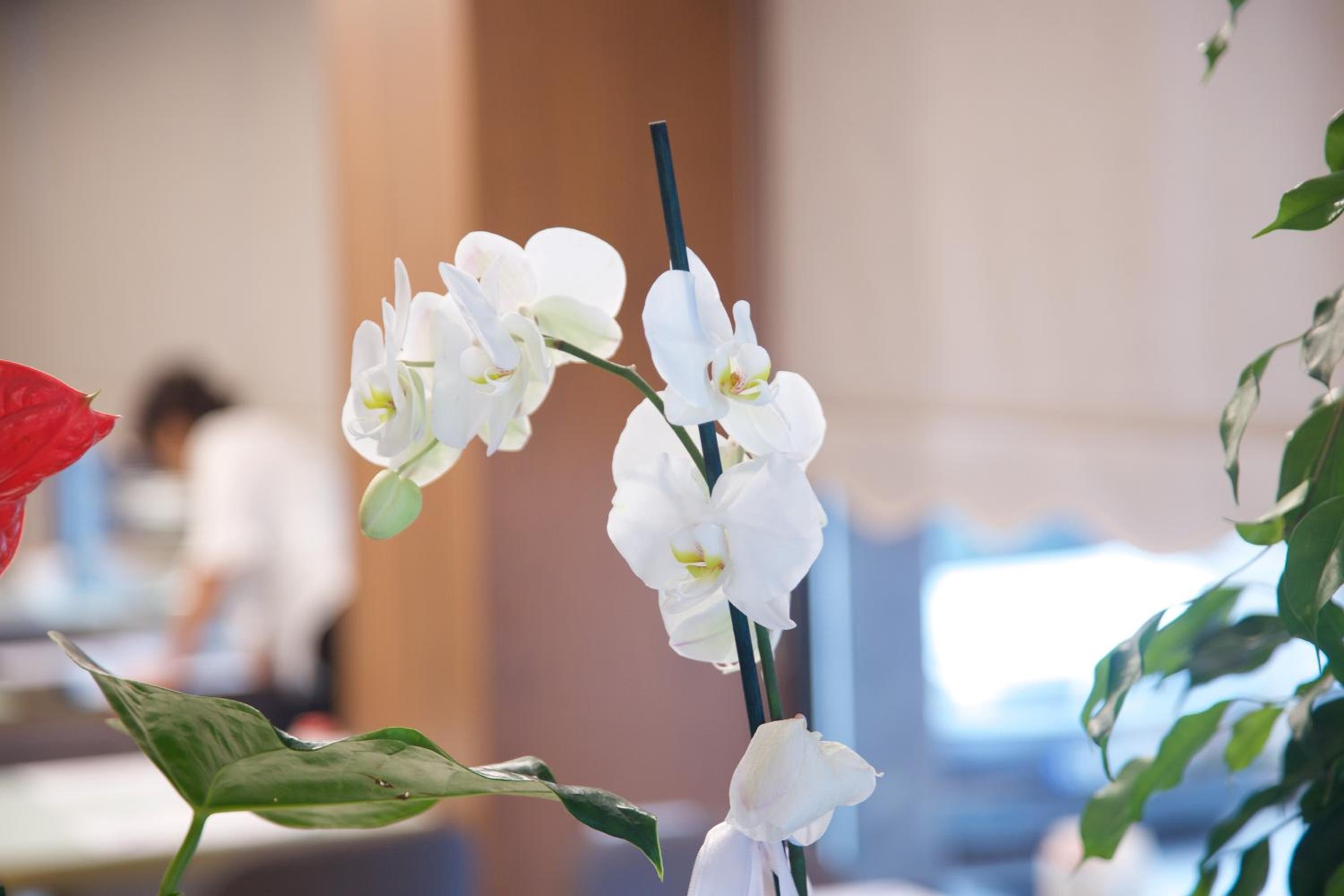 Foto de The Tango Hotel Taksim