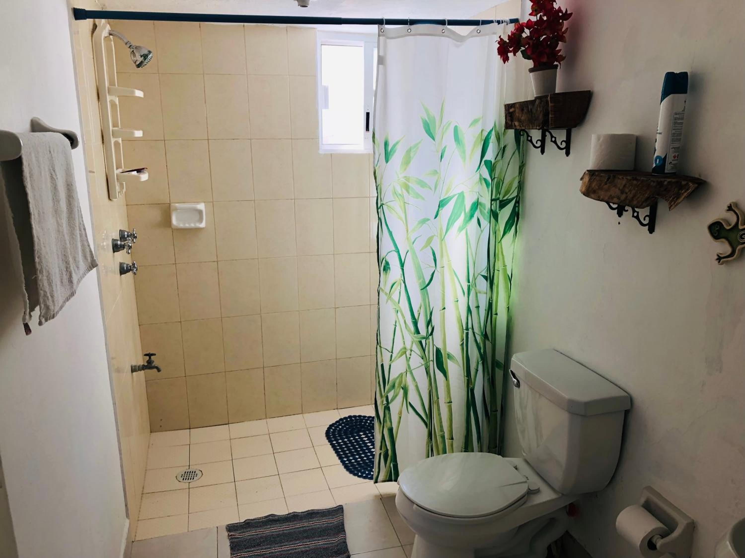 Foto de Casa Alberto Cozumel