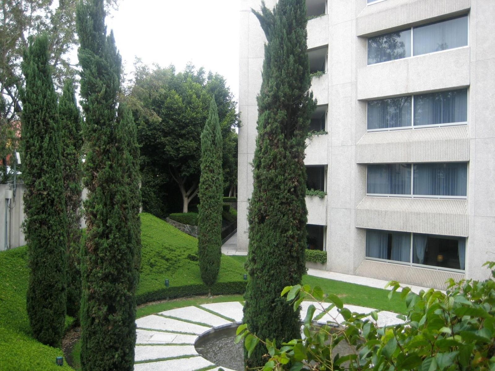 Foto de Royal Pedregal