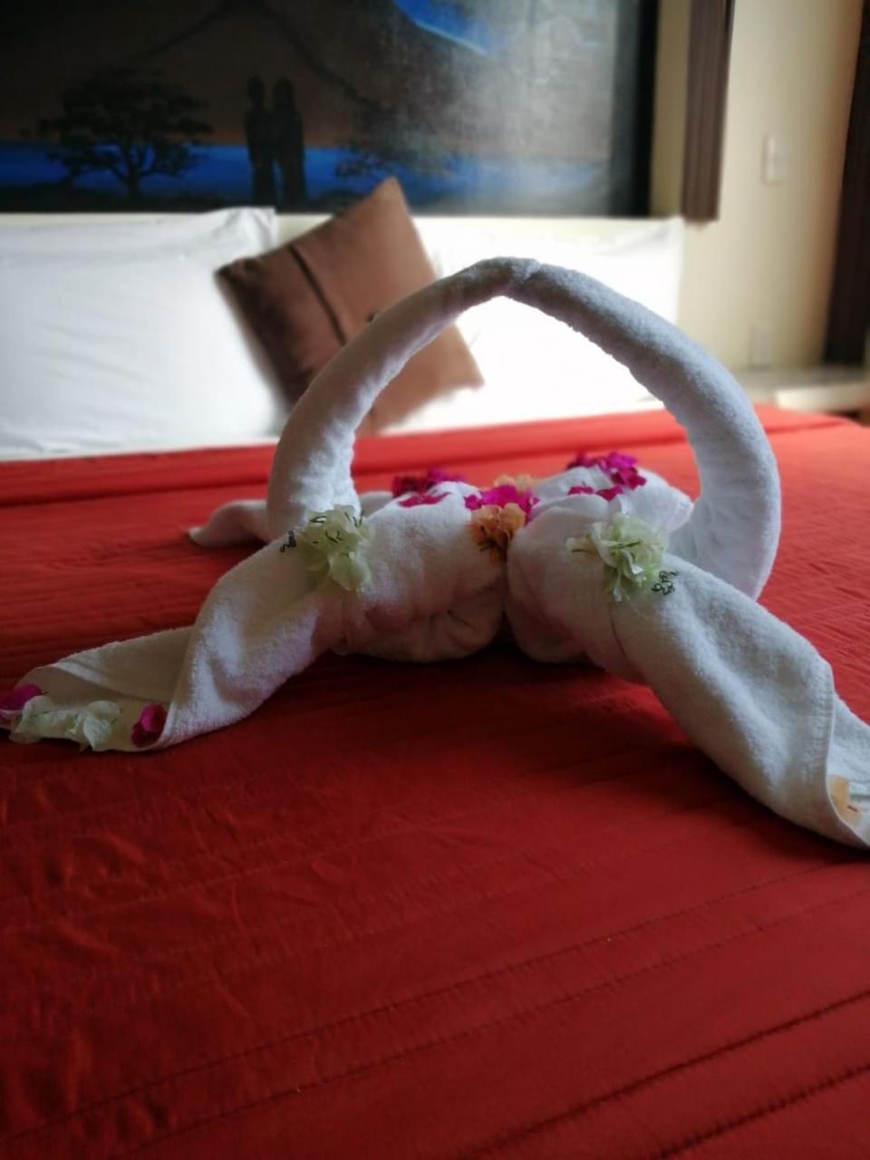 Foto de Hotel Diamante