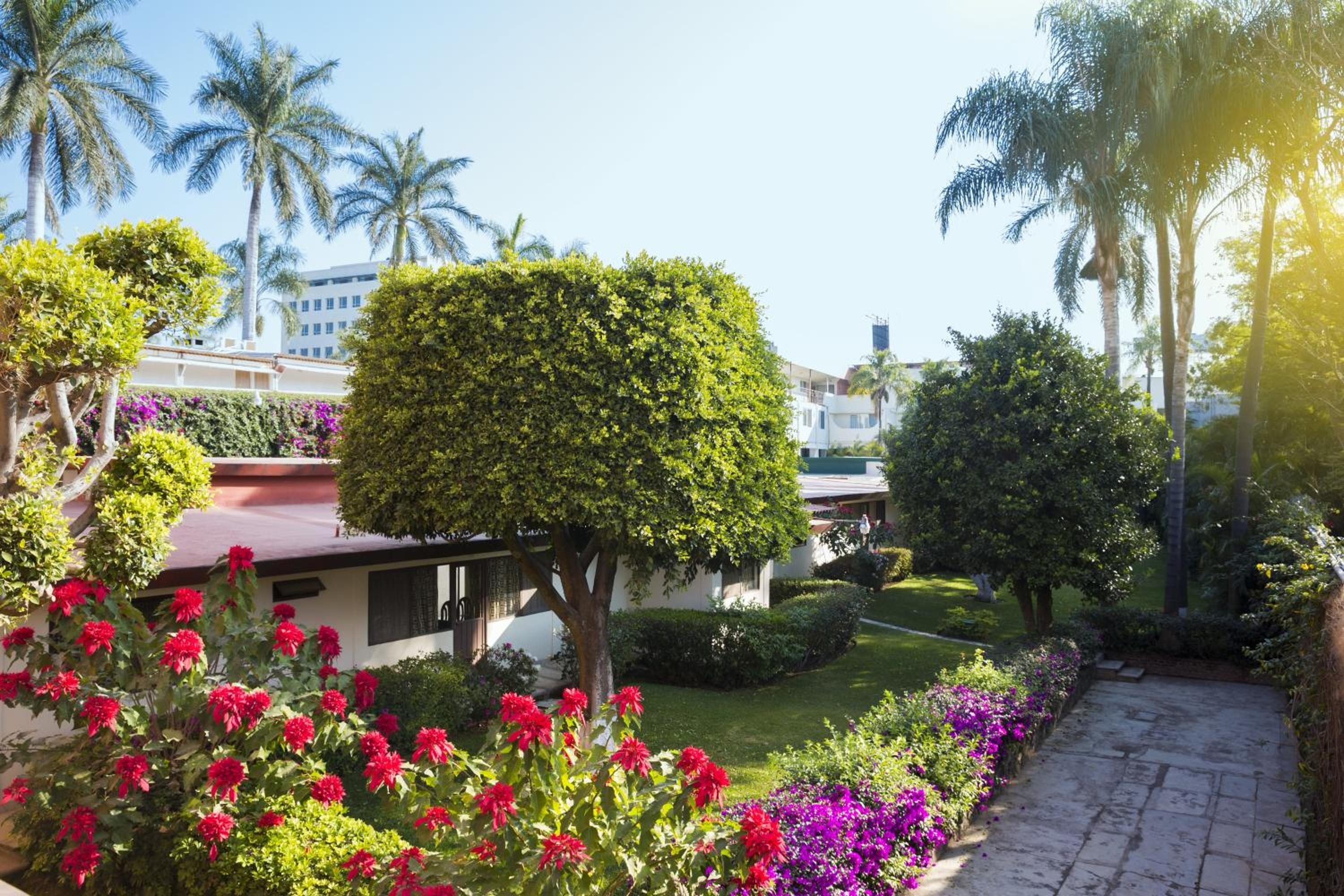 Gamma Cuernavaca Puerta Paraiso