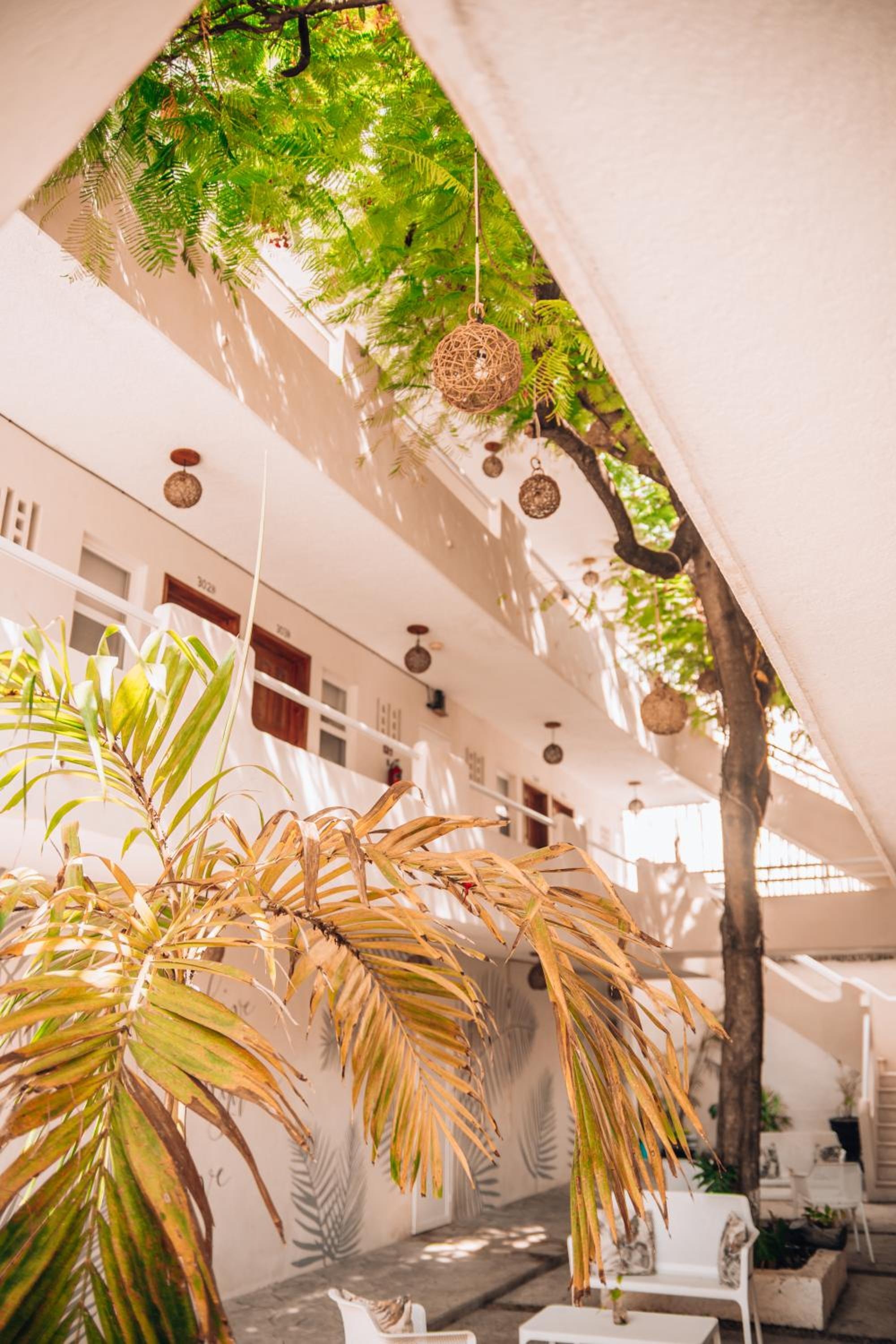 Foto de Ahava Hotel