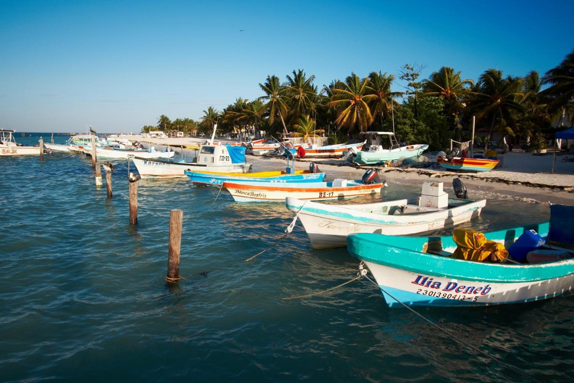 Foto de Hotel Belmar