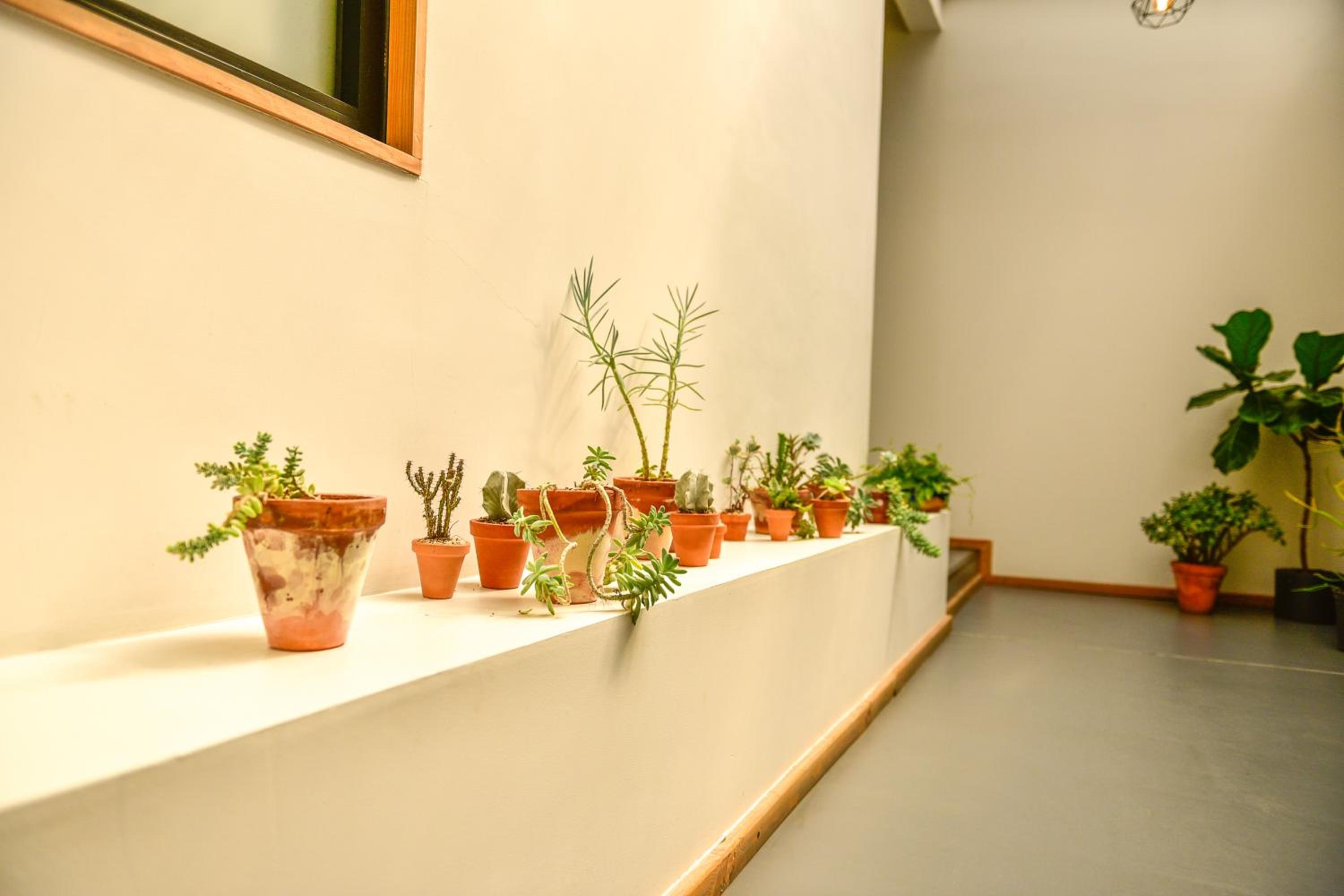 Foto de Casa Melgar