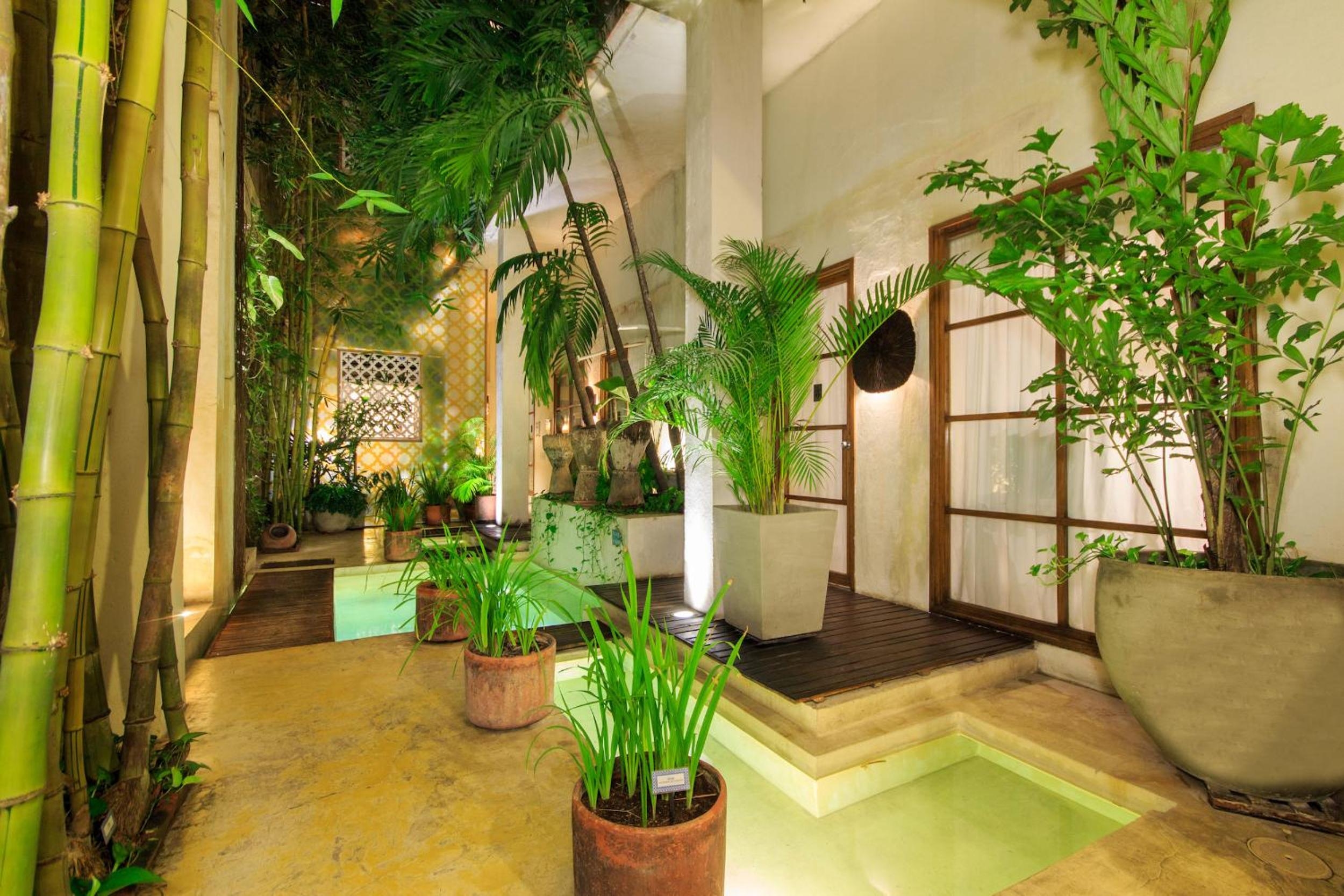 Foto de Hotel Casa Lola Deluxe Gallery