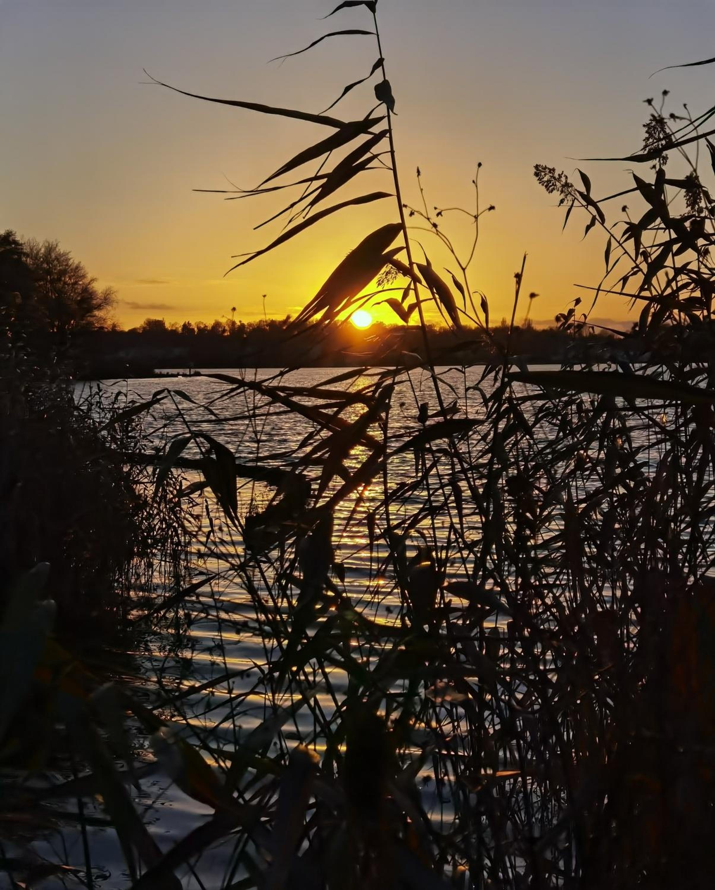 Foto de Seehotel Grunewald