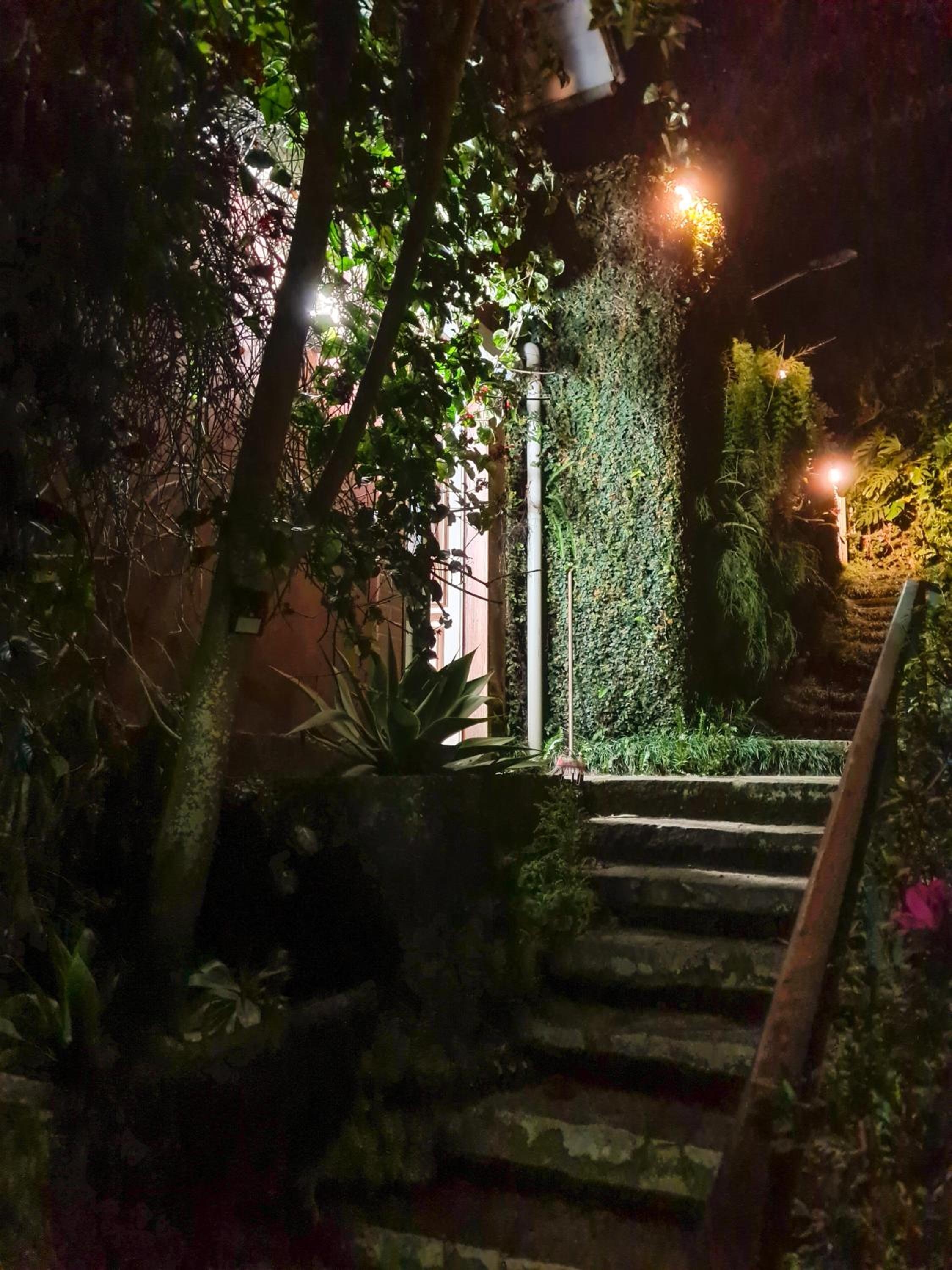 Foto de Villa Violeta