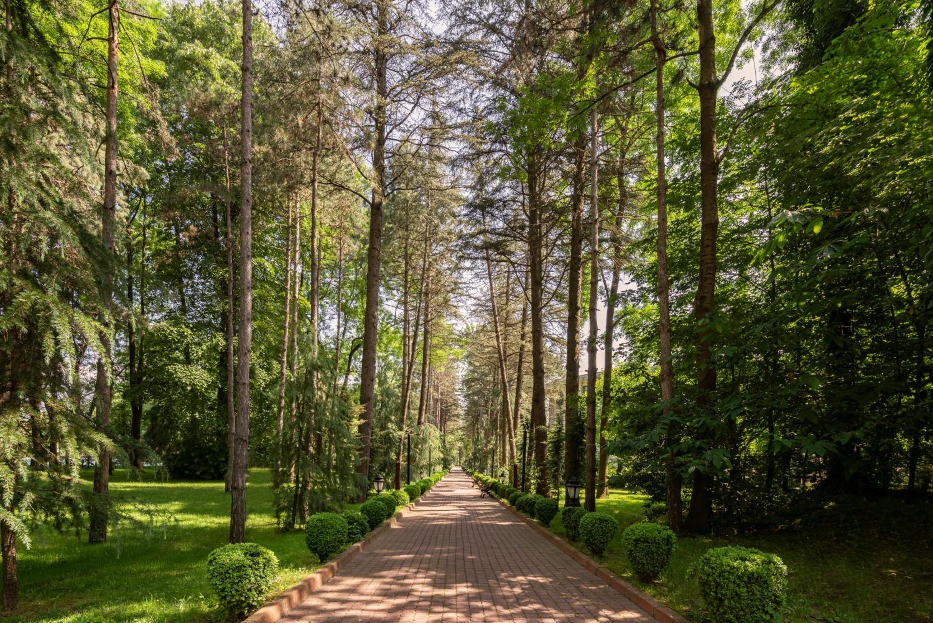 Foto de NG Sapanca Wellness & Convention